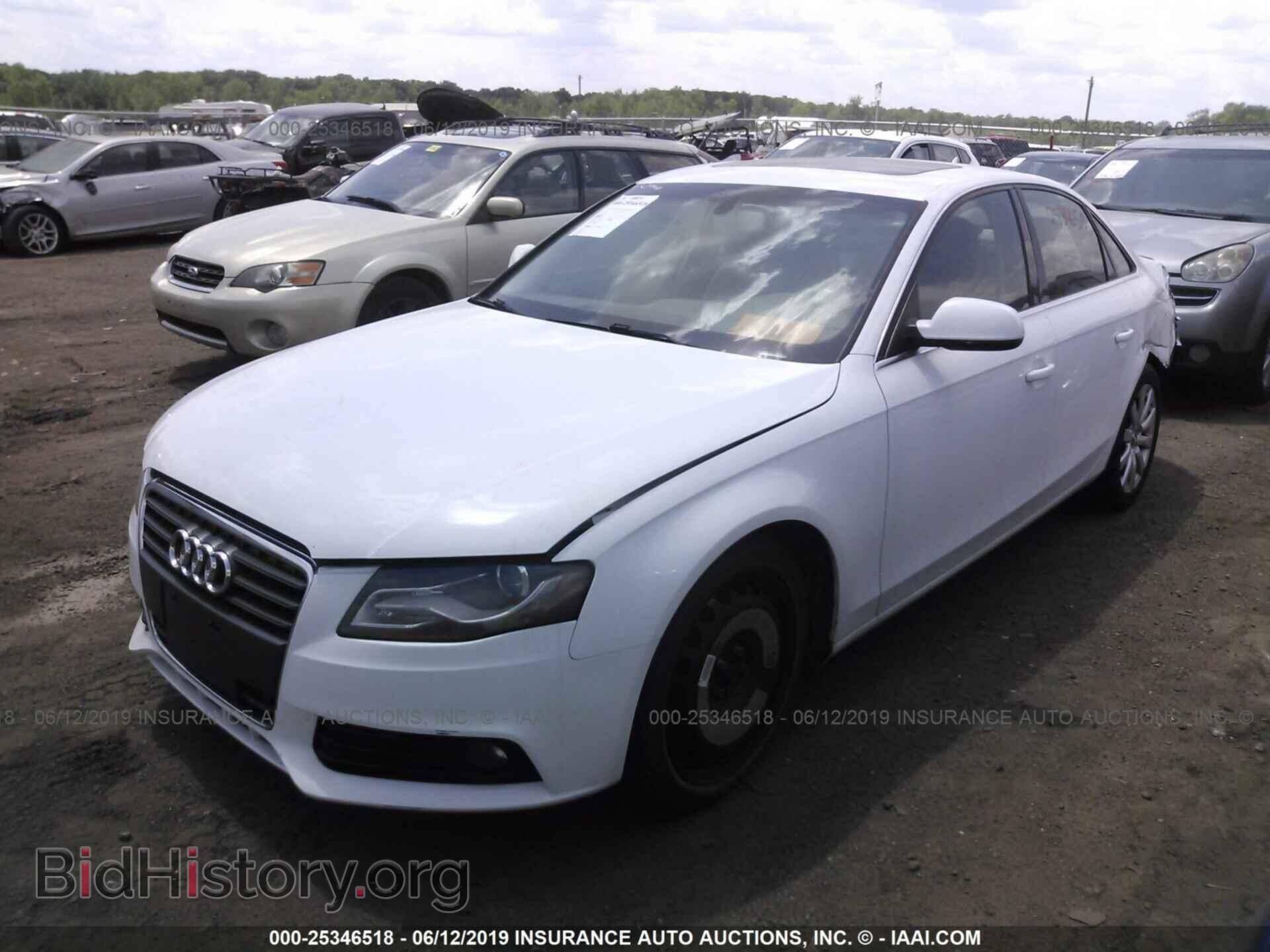 2010 AUDI A4 - VIN: WAUEFAFL7AN061648 - Фото 2