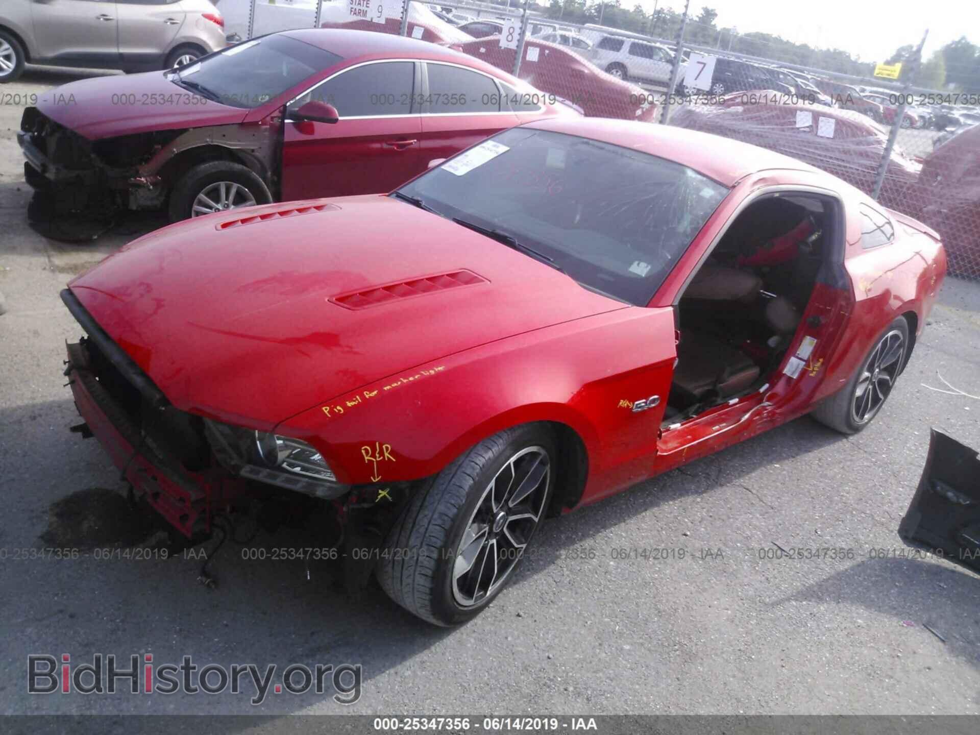 2014 FORD MUSTANG - VIN: 1ZVBP8CF2E5219231 - Фото 2
