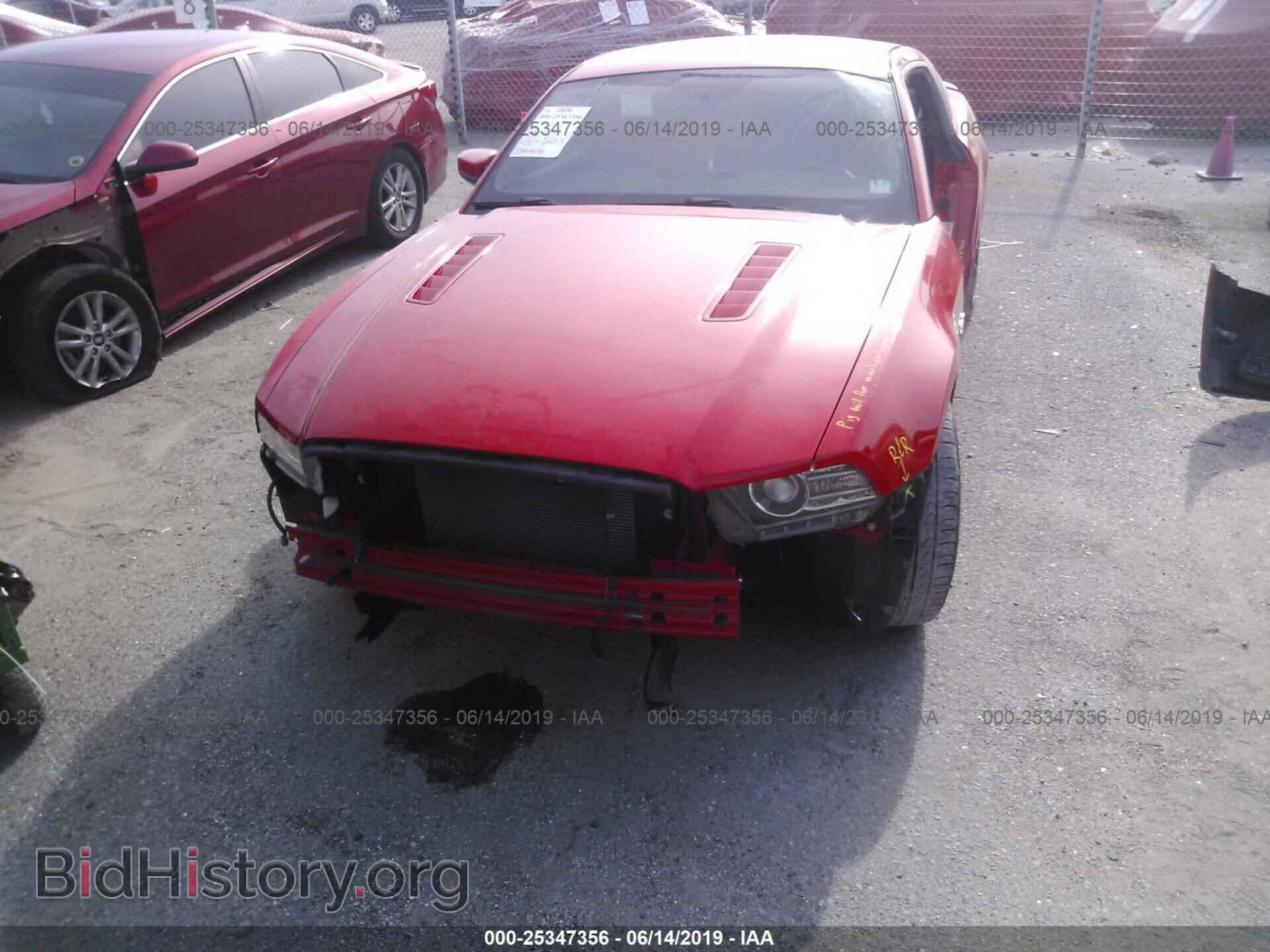 2014 FORD MUSTANG - VIN: 1ZVBP8CF2E5219231 - Фото 6