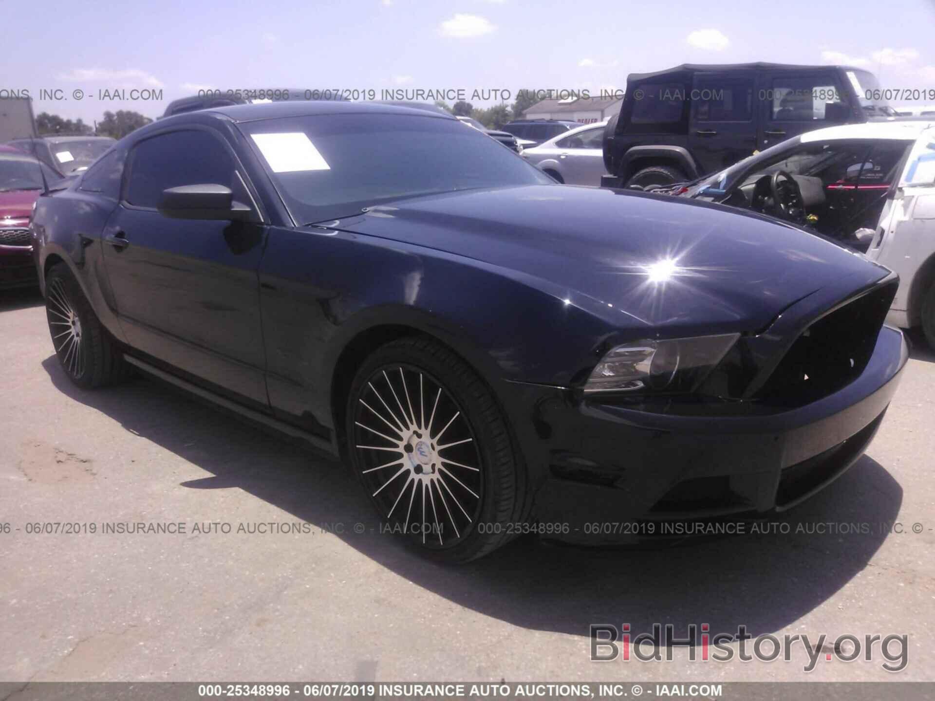 Photo 1ZVBP8AM2E5207520 - FORD MUSTANG 2014
