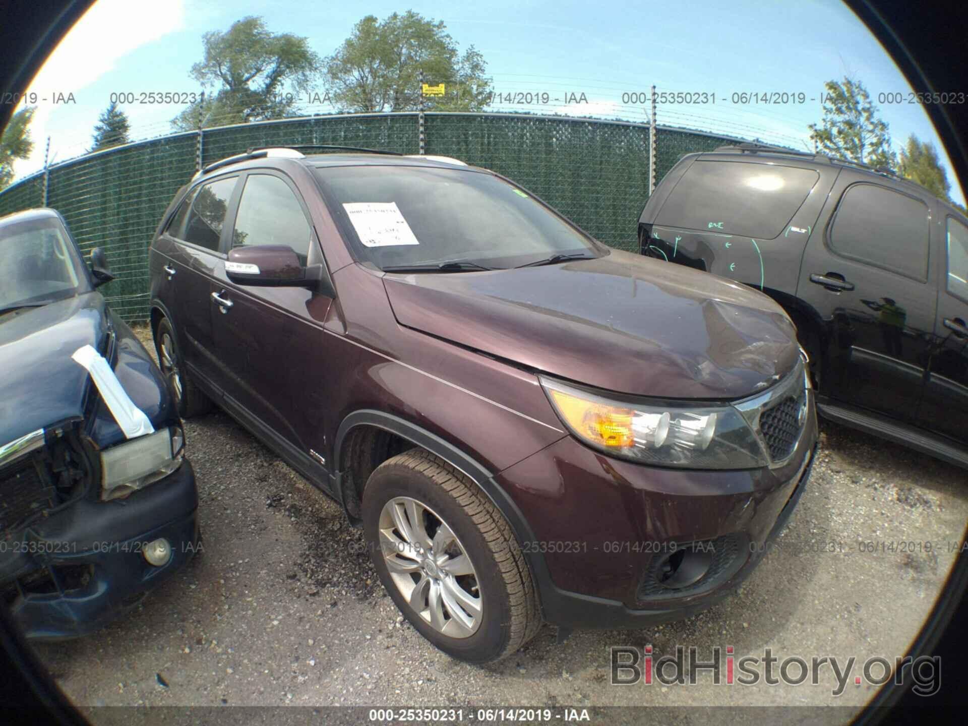 Фотография 5XYKUDA22BG051663 - KIA SORENTO 2011