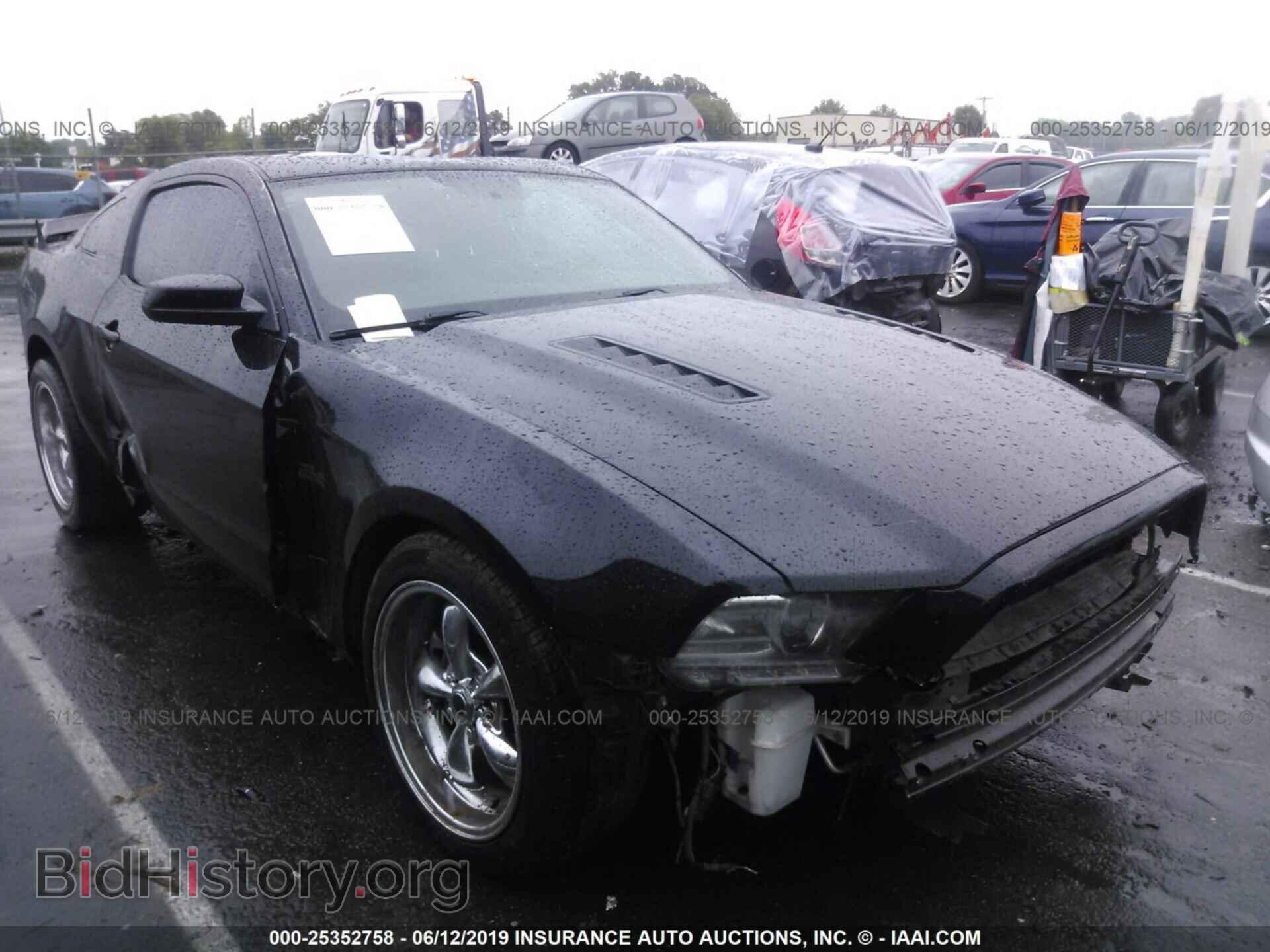 Фотография 1ZVBP8CF5D5228357 - FORD MUSTANG 2013