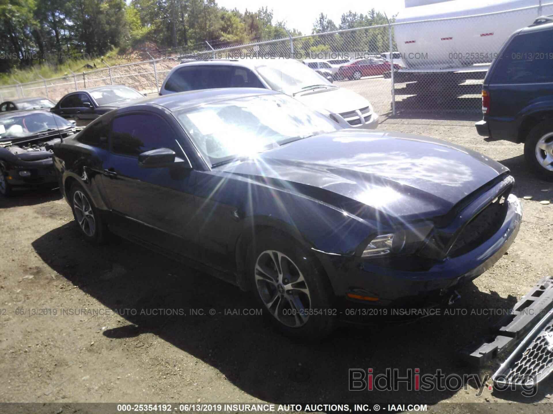 Photo 1ZVBP8AM4E5289458 - FORD MUSTANG 2014