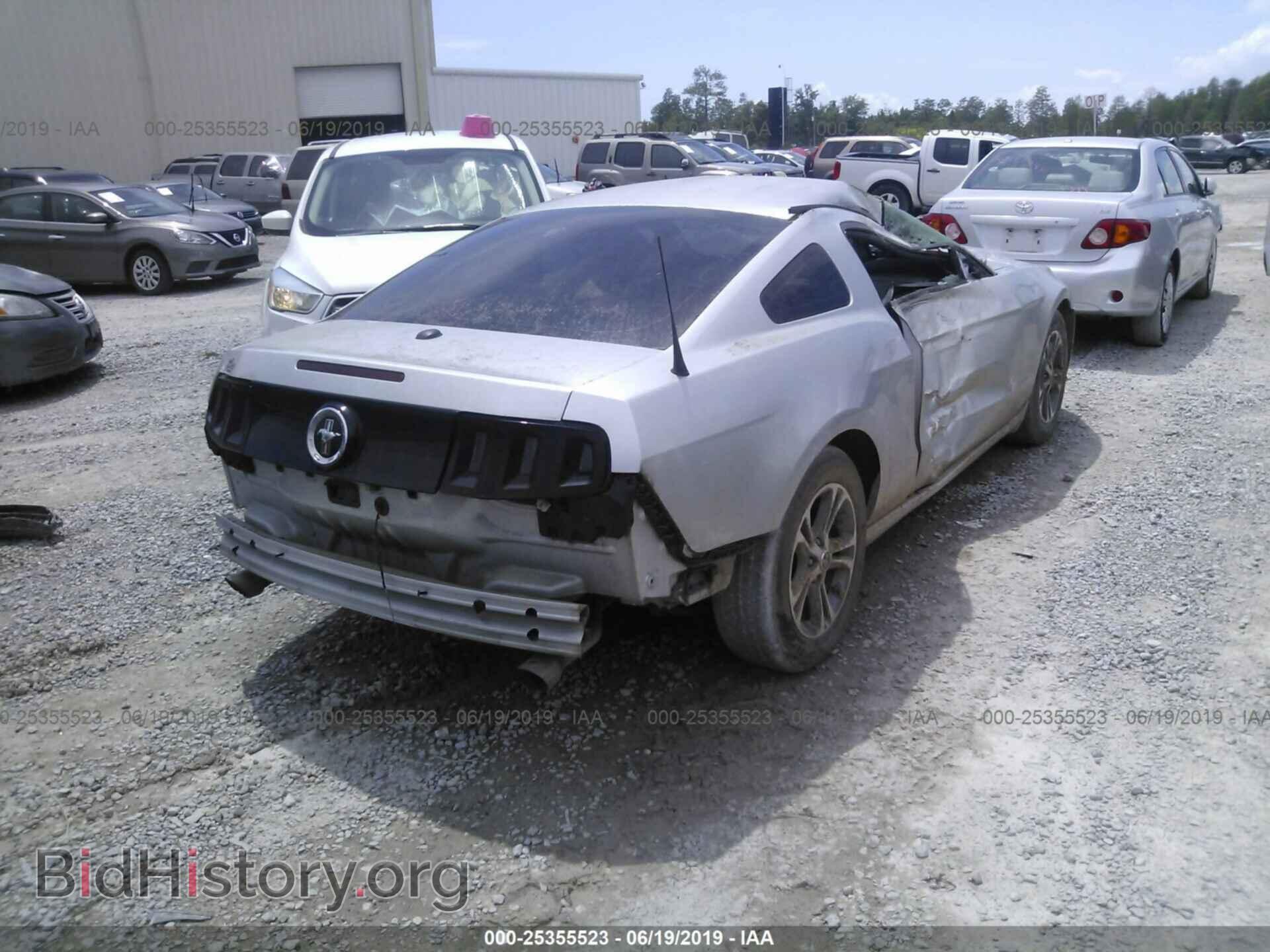 2014 FORD MUSTANG - VIN: 1ZVBP8AM4E5304833 - Фото 4