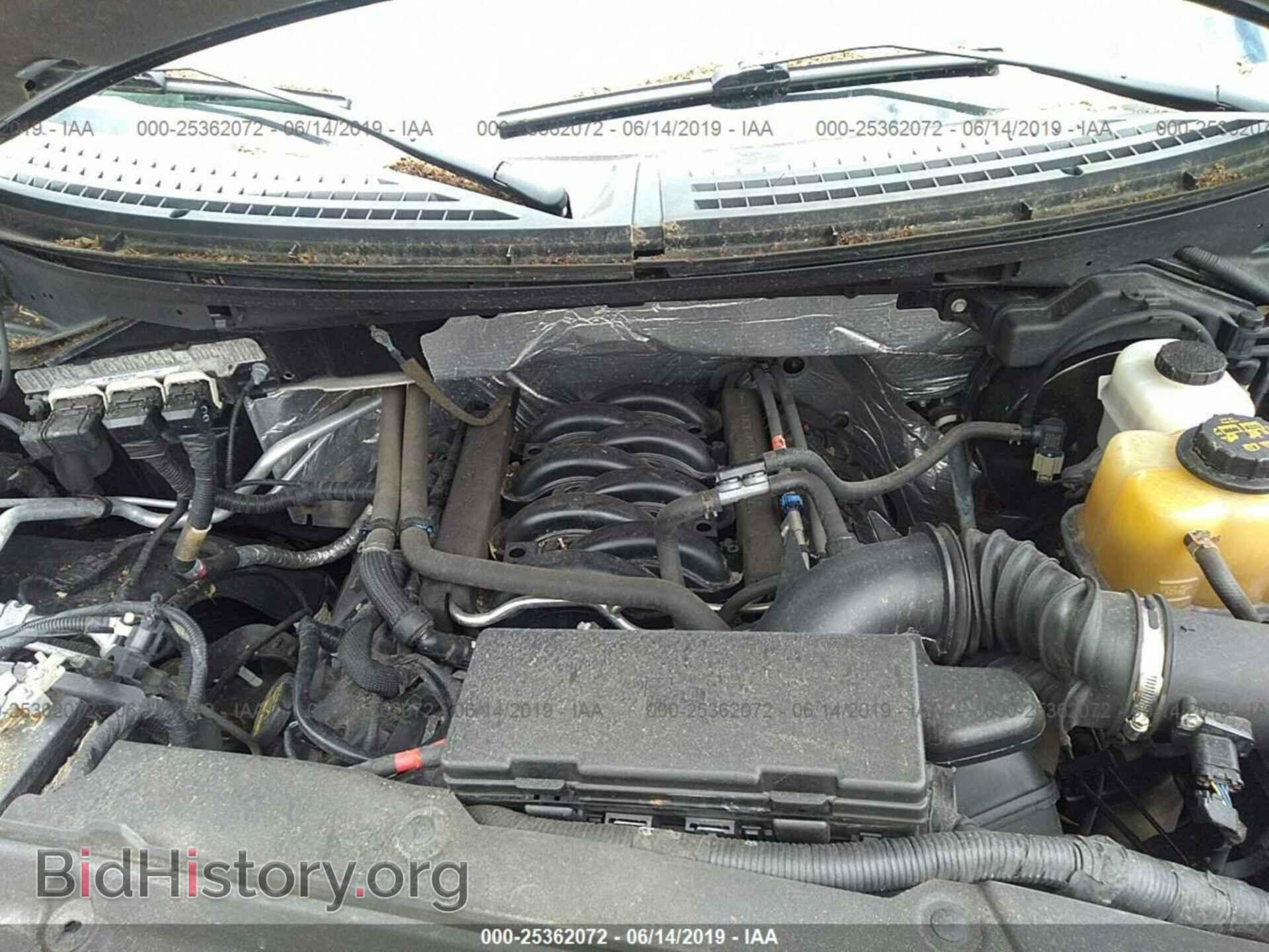 2013 FORD F150 - VIN: 1FTFX1EF7DFD51497 - Фото 10