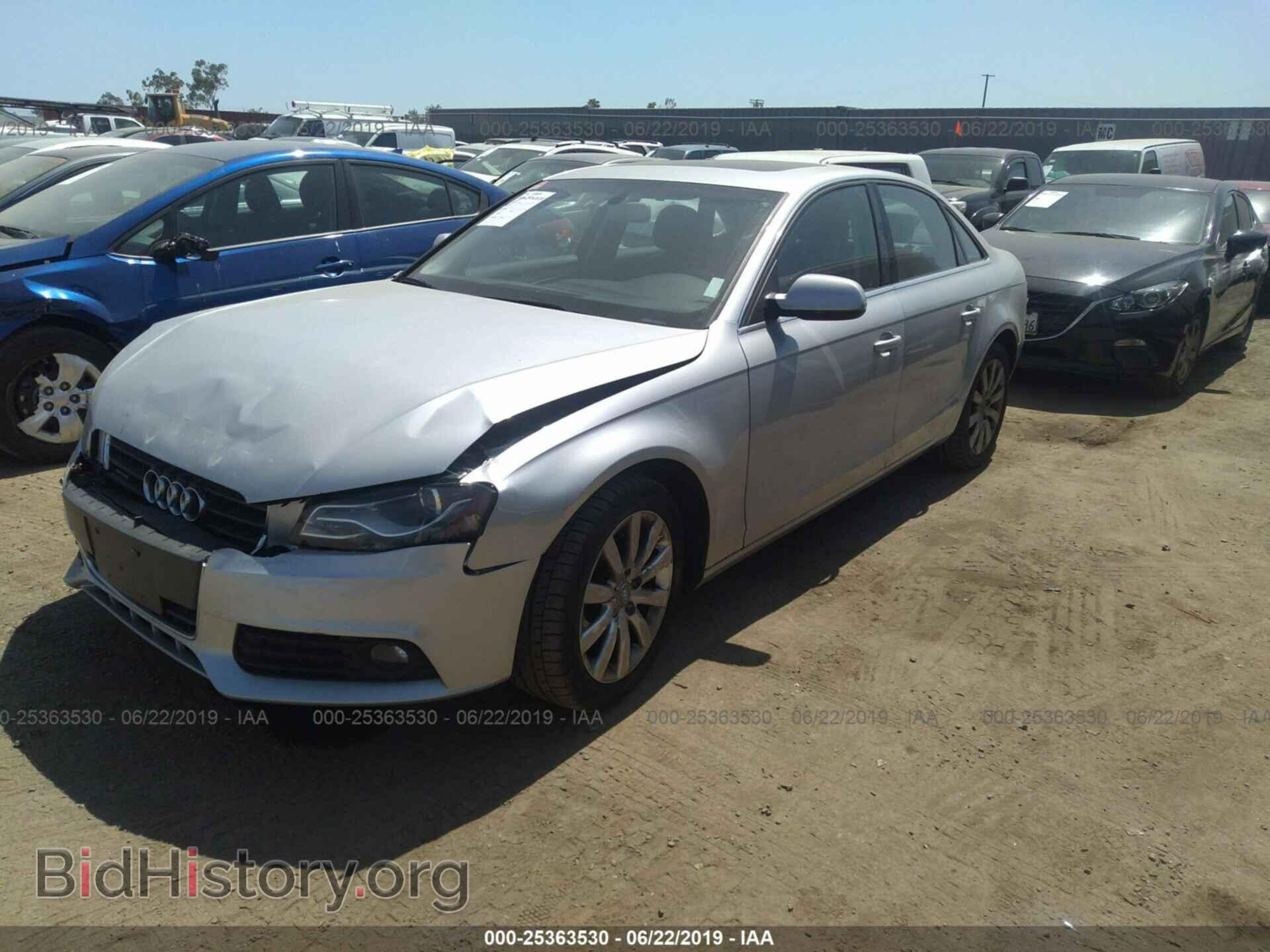 2010 AUDI A4 - VIN: WAUFFAFL0AN045313 - Фото 2