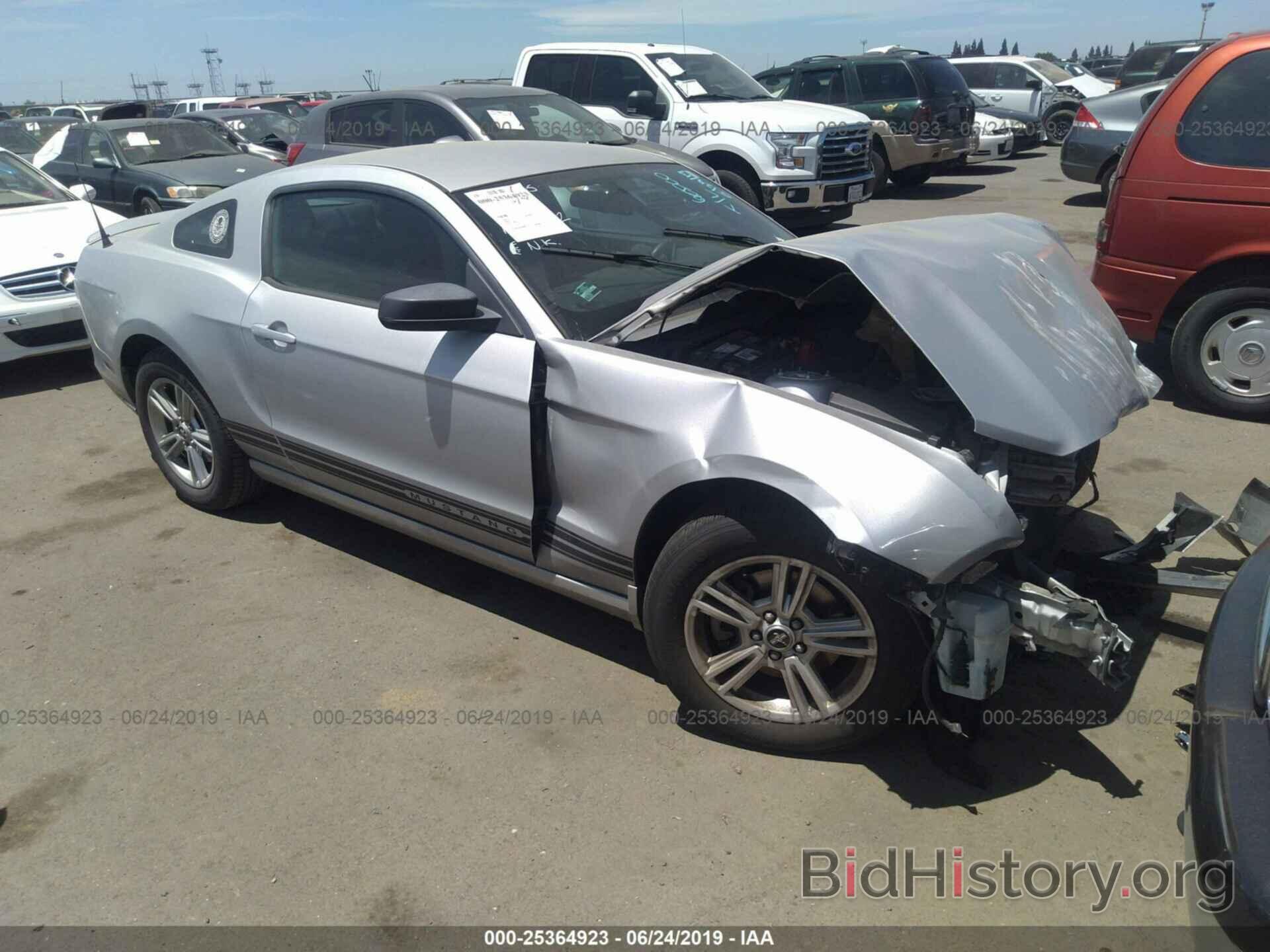 Photo 1ZVBP8AM0D5221673 - FORD MUSTANG 2013