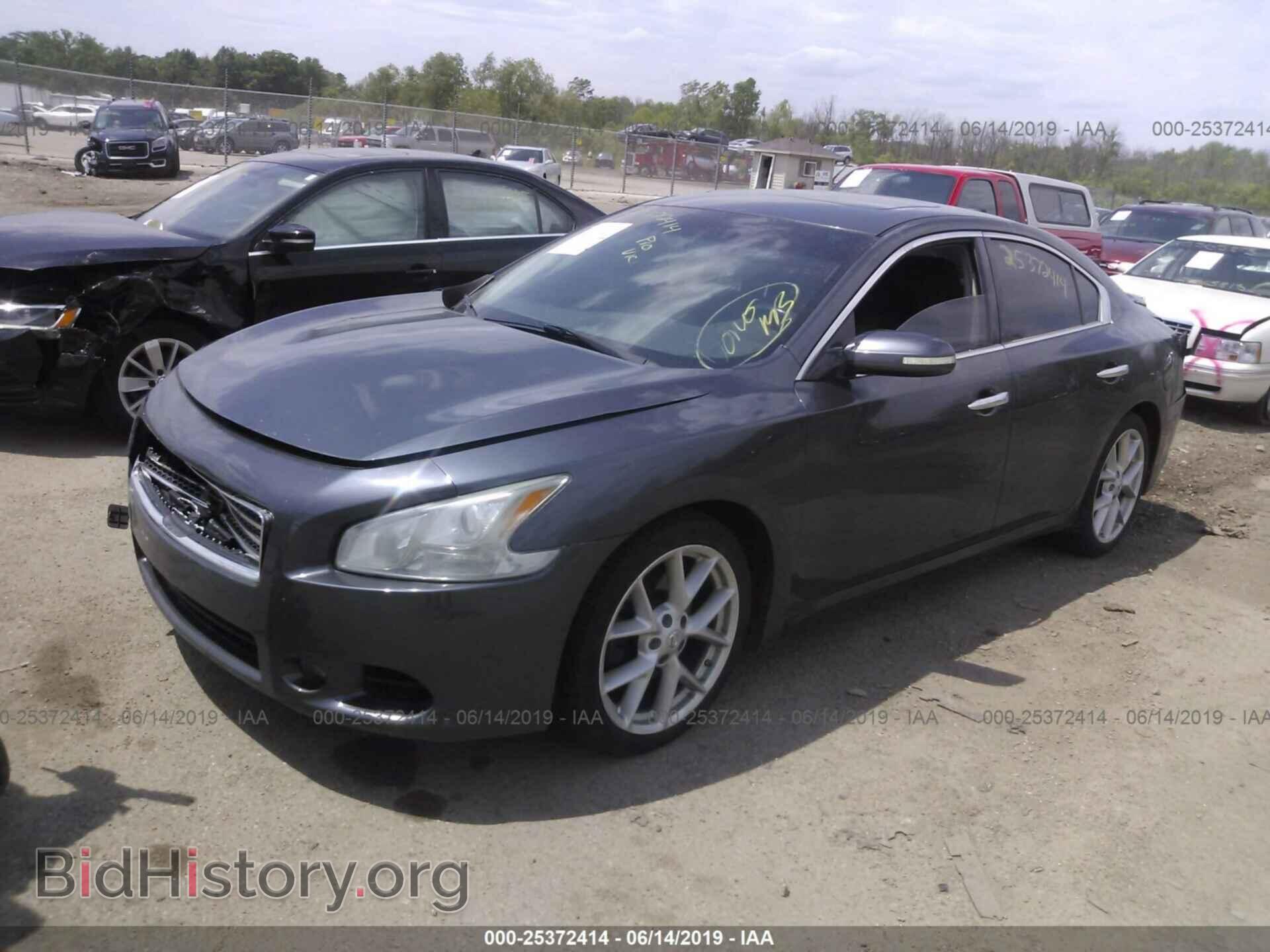 2009 NISSAN MAXIMA - VIN: 1N4AA51EX9C825926 - Фото 2