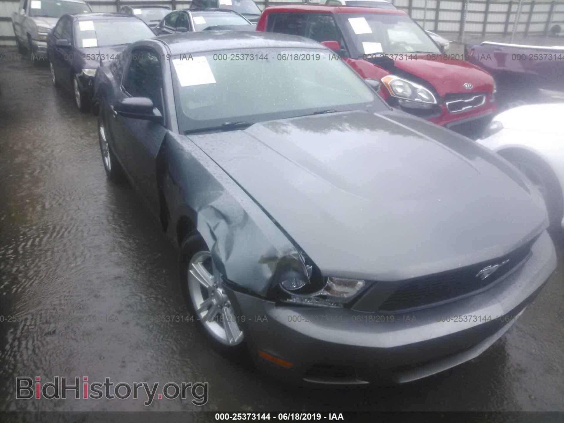 Фотография 1ZVBP8AM1B5106061 - FORD MUSTANG 2011