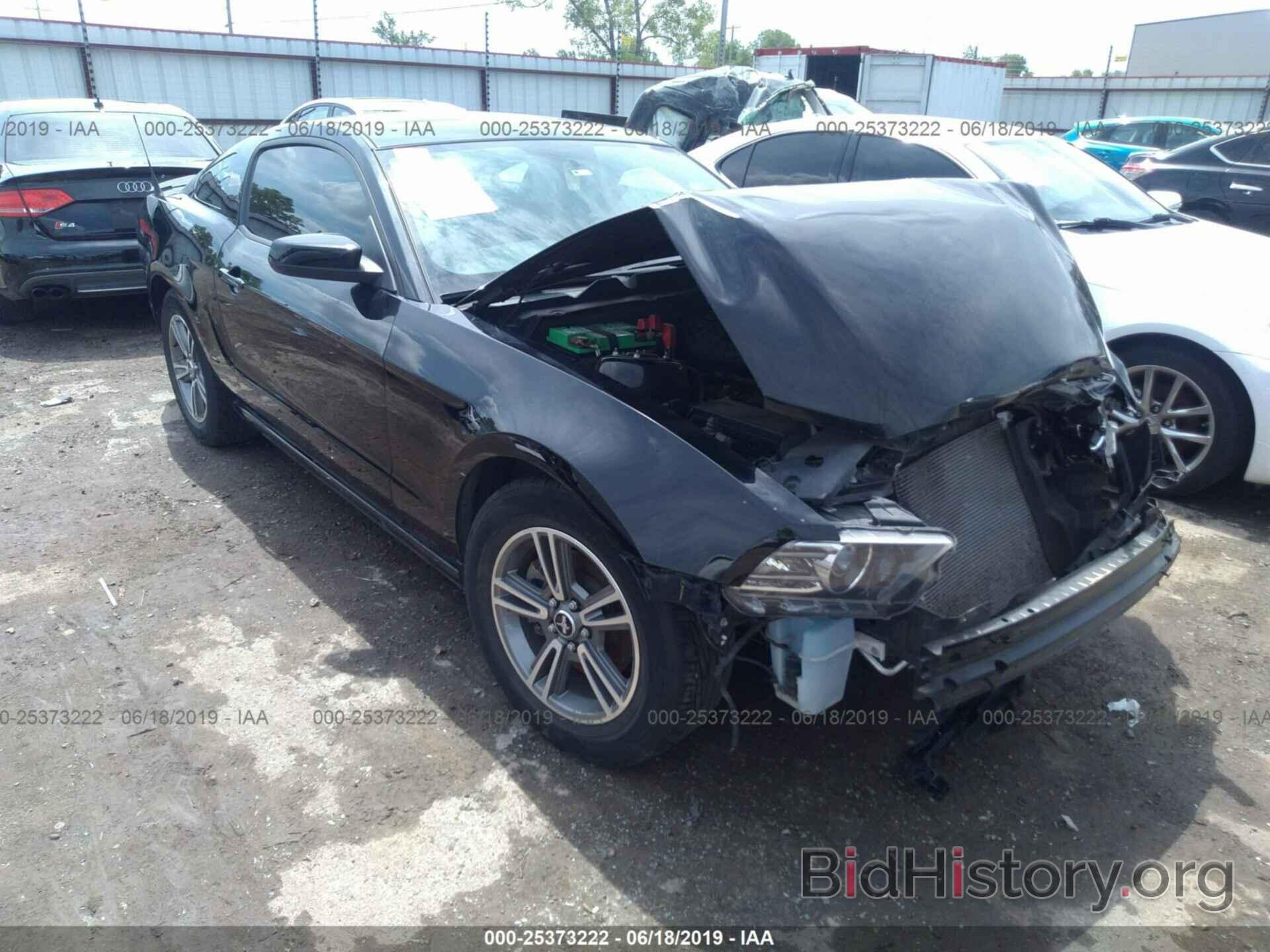 Photo 1ZVBP8AM9D5234504 - FORD MUSTANG 2013