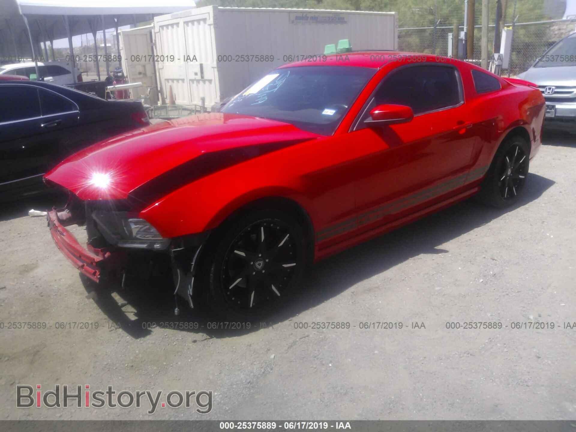 2014 FORD MUSTANG - VIN: 1ZVBP8AM3E5262459 - Фото 2