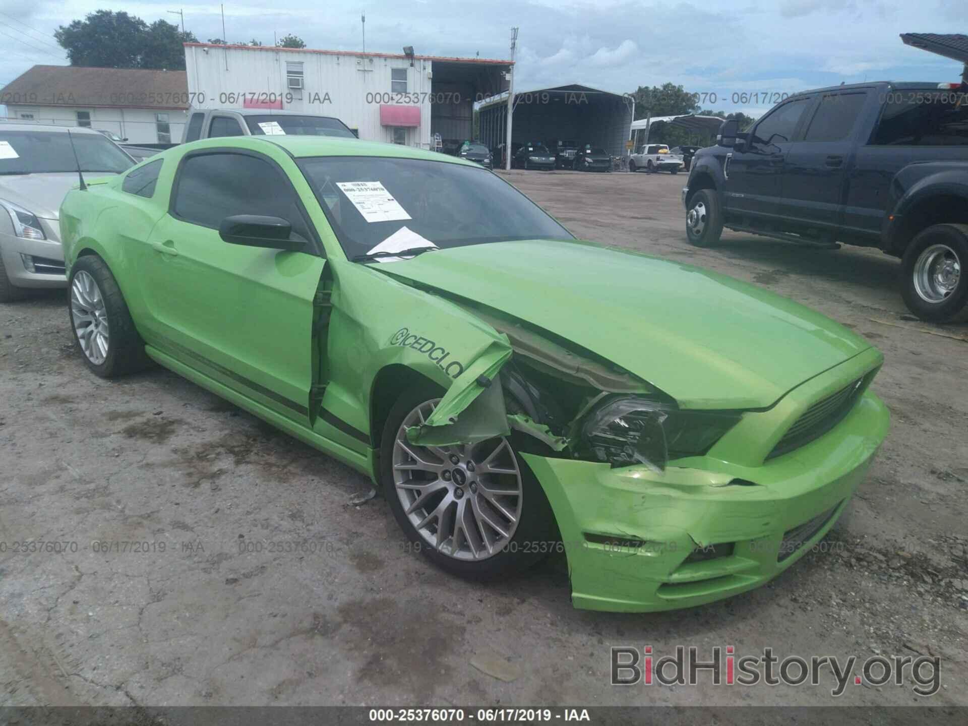 Photo 1ZVBP8AM9D5248998 - FORD MUSTANG 2013