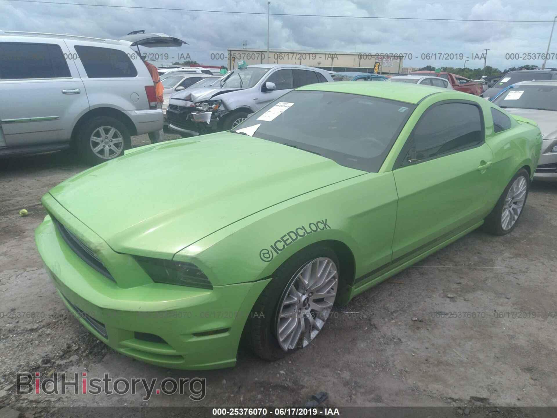 2013 FORD MUSTANG - VIN: 1ZVBP8AM9D5248998 - Фото 2