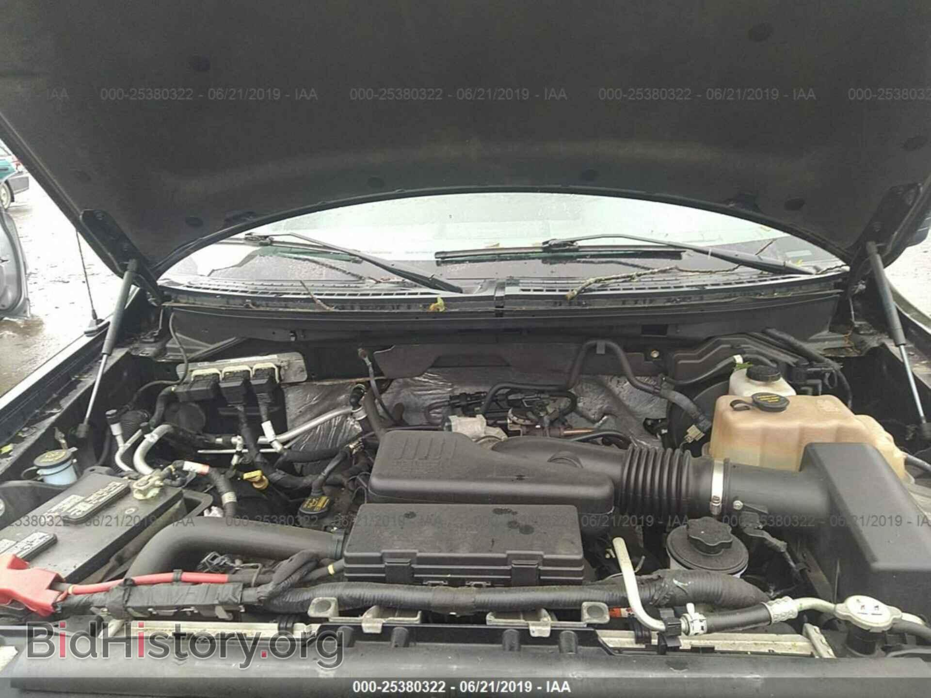 2010 FORD F150 - VIN: 1FTMF1EW3AKB69860 - Фото 10
