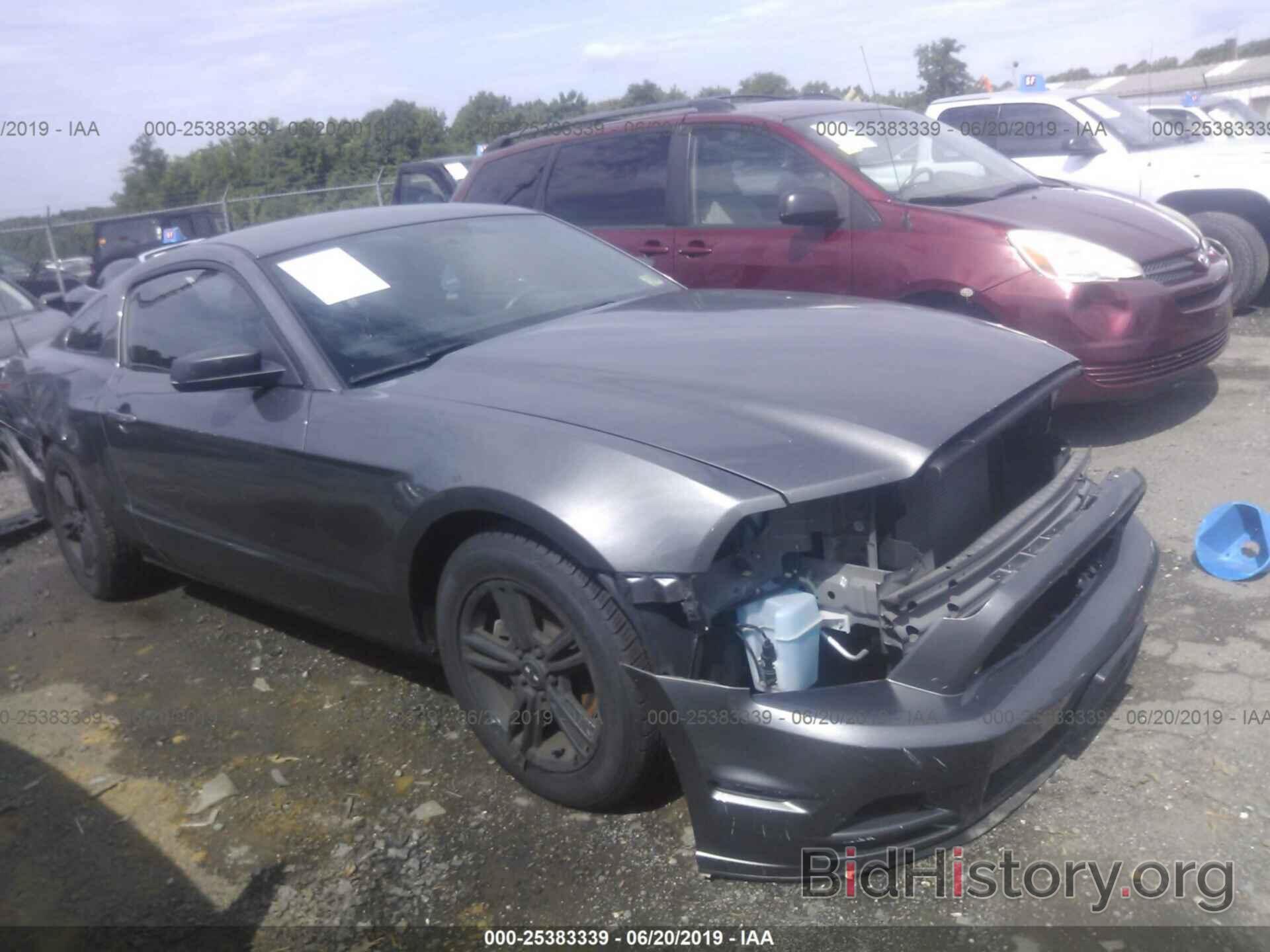 Photo 1ZVBP8AM6E5315462 - FORD MUSTANG 2014