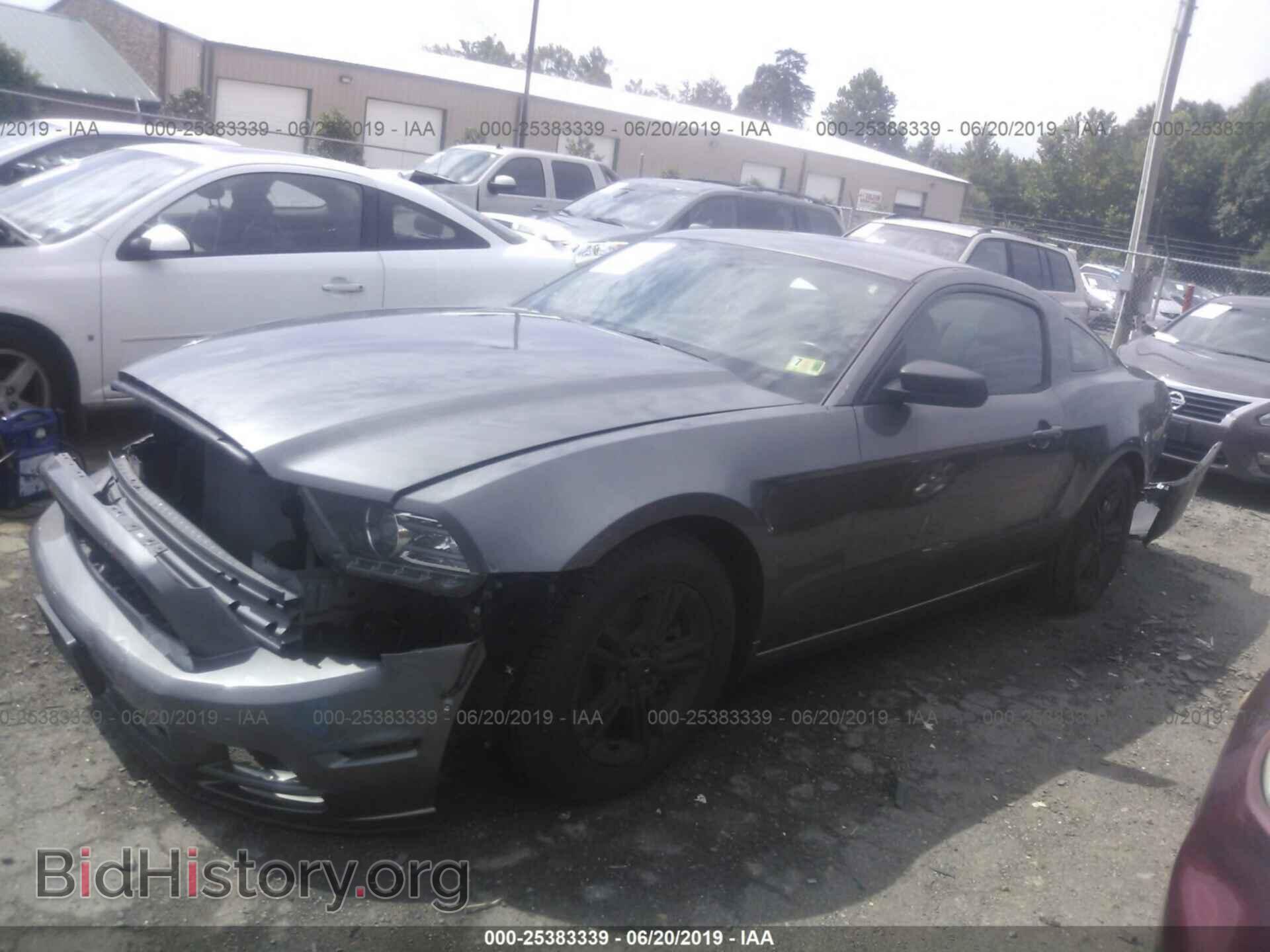 2014 FORD MUSTANG - VIN: 1ZVBP8AM6E5315462 - Фото 2