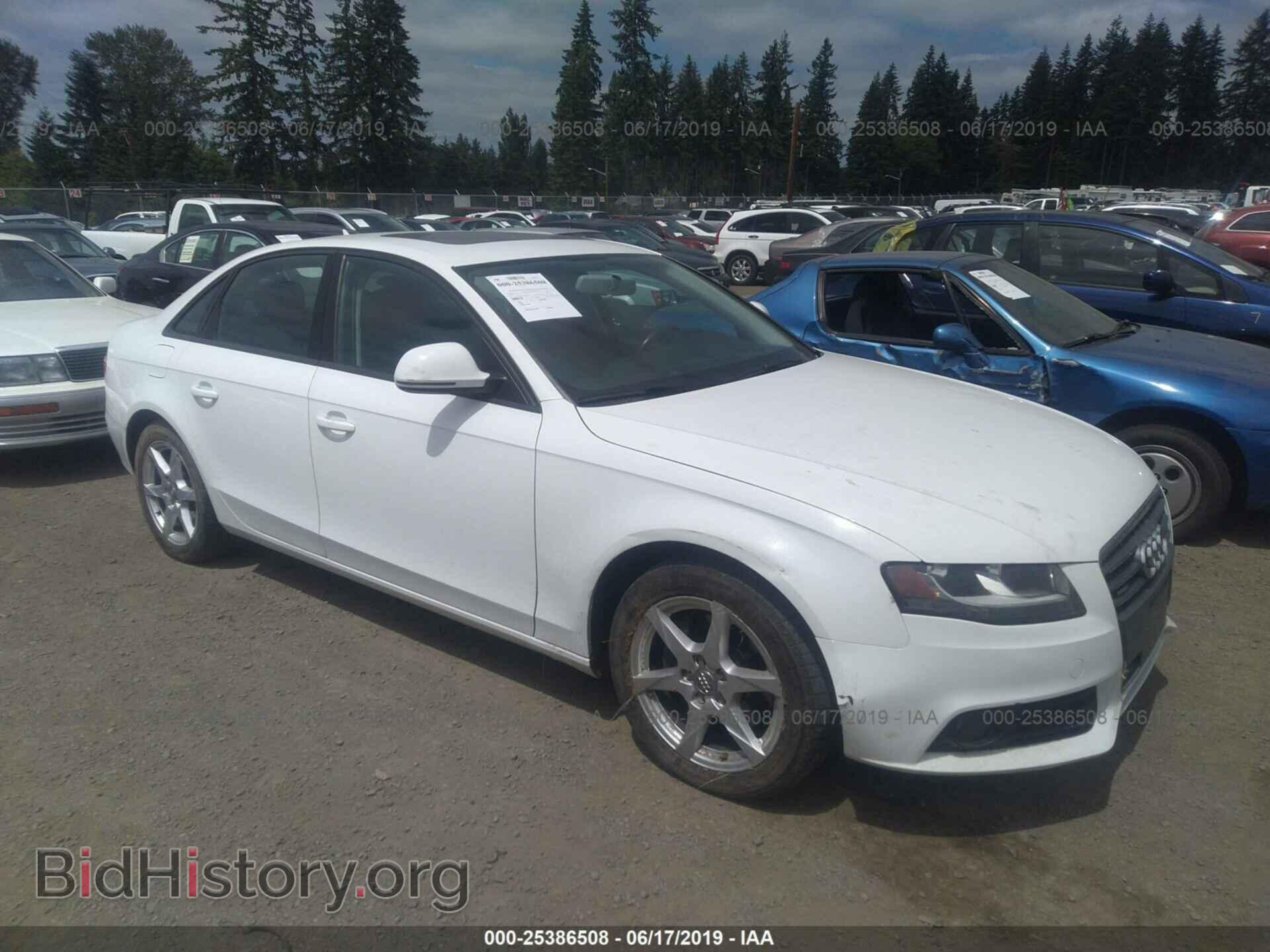 Фотография WAULF78K39A080604 - AUDI A4 2009