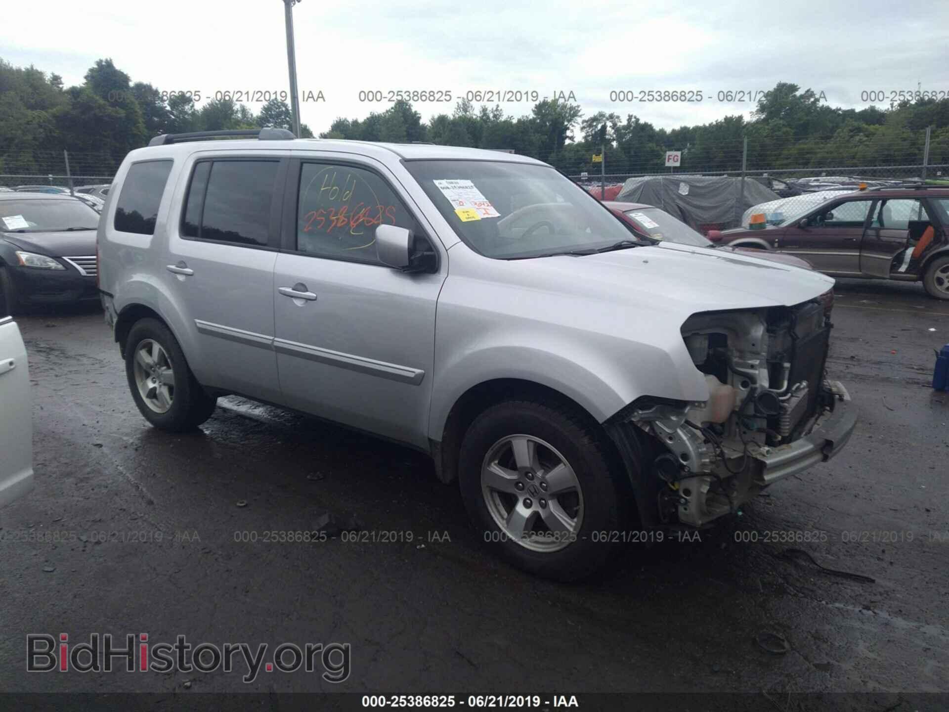 Фотография 5FNYF48569B024357 - HONDA PILOT 2009