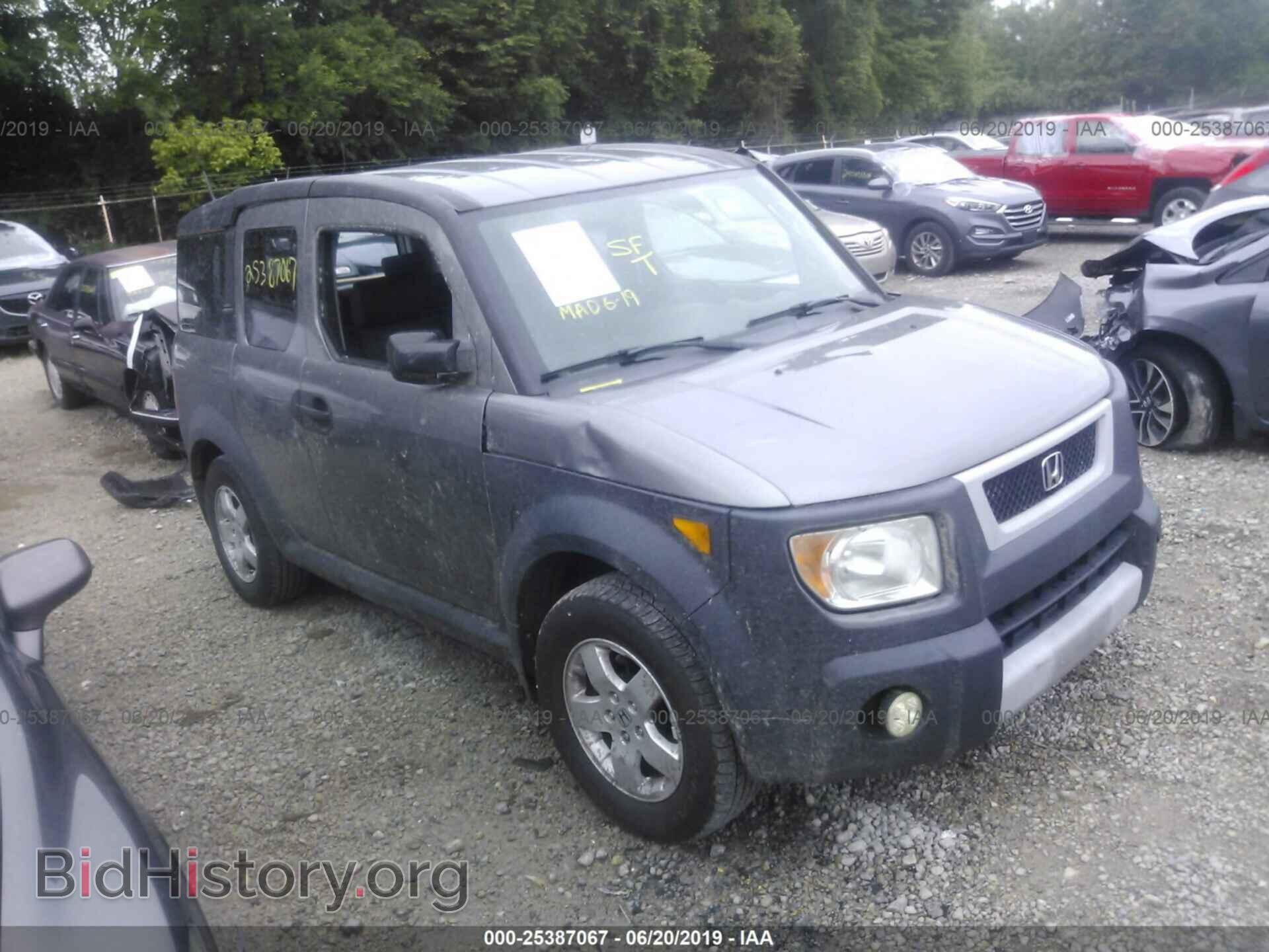 Photo 5J6YH28645L005377 - HONDA ELEMENT 2005