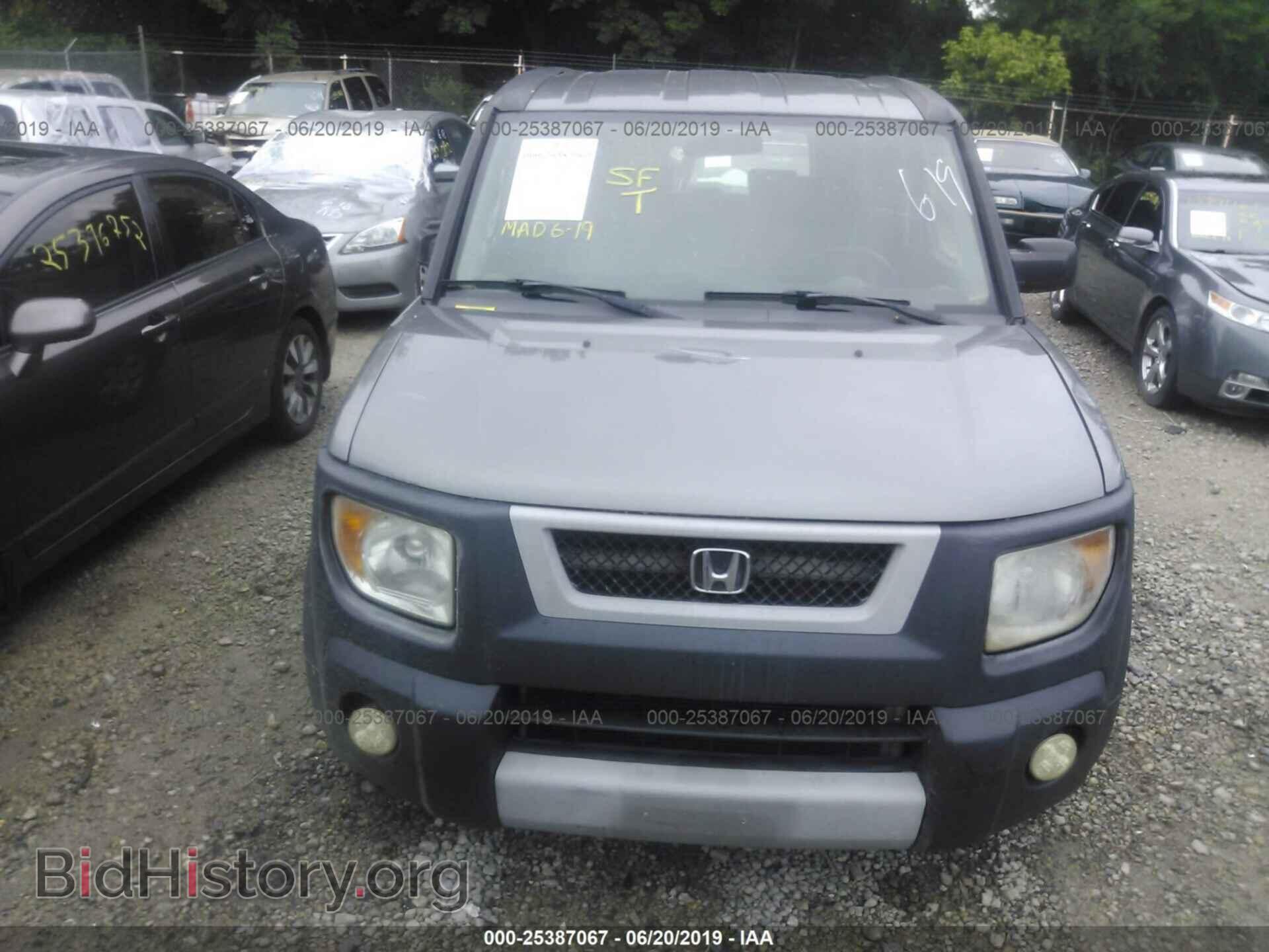 2005 HONDA ELEMENT - VIN: 5J6YH28645L005377 - Фото 6