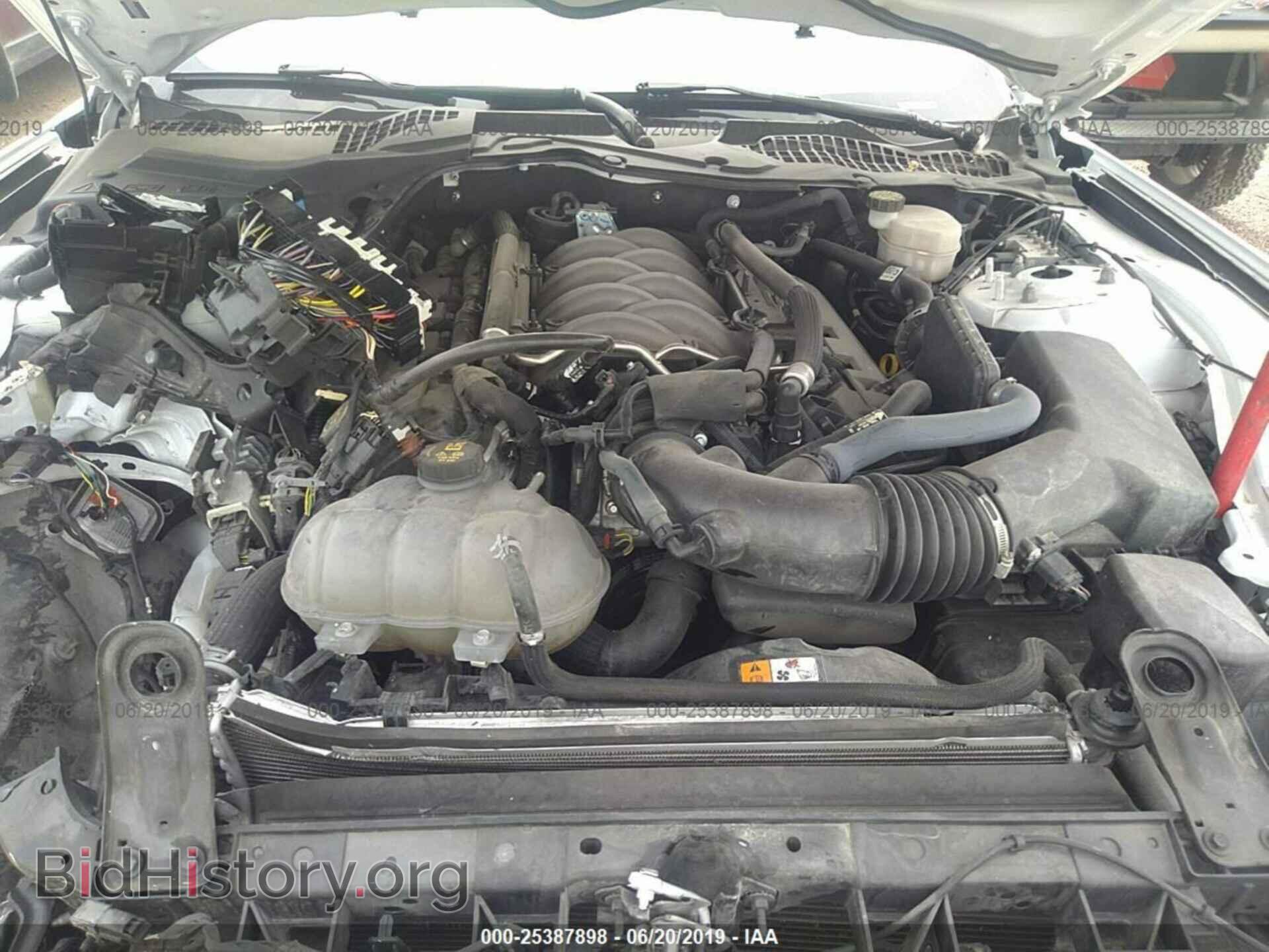 2017 FORD MUSTANG - VIN: 1FA6P8CF7H5309621 - Фото 10