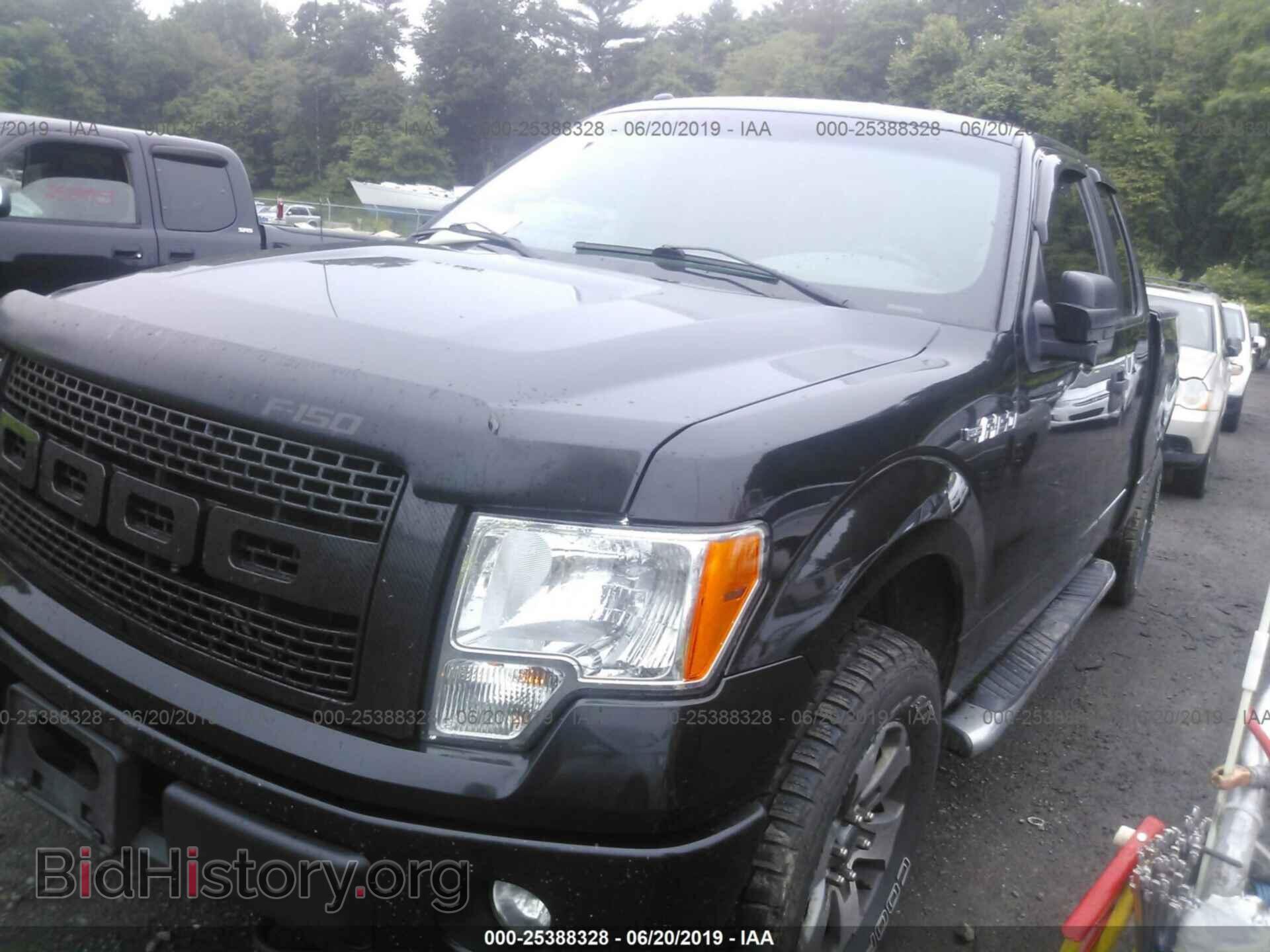 2013 FORD F150 - VIN: 1FTFX1EF8DFA70843 - Фото 2