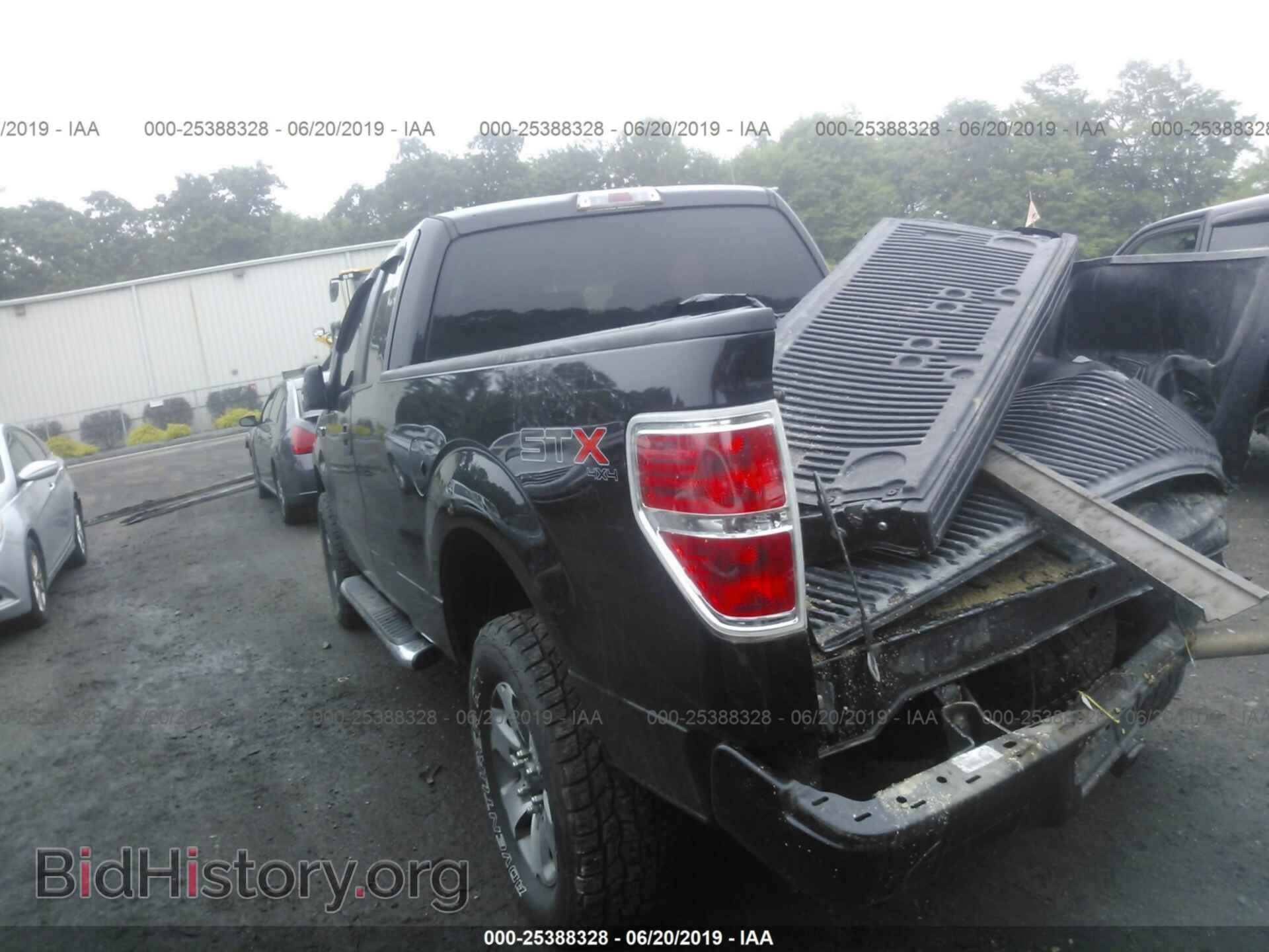2013 FORD F150 - VIN: 1FTFX1EF8DFA70843 - Фото 3