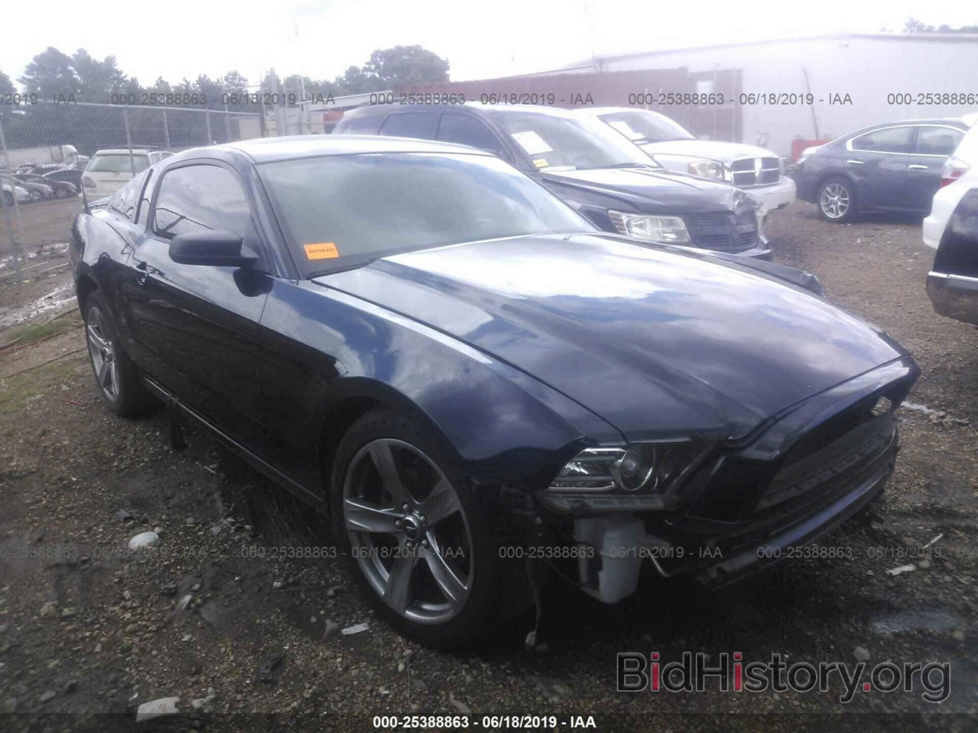 Photo 1ZVBP8AM9D5207416 - FORD MUSTANG 2013