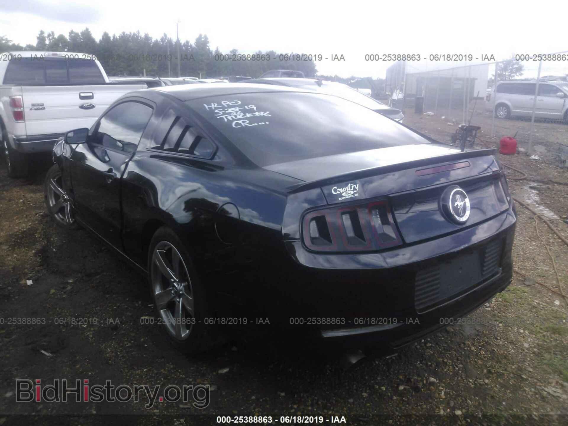 2013 FORD MUSTANG - VIN: 1ZVBP8AM9D5207416 - Фото 3
