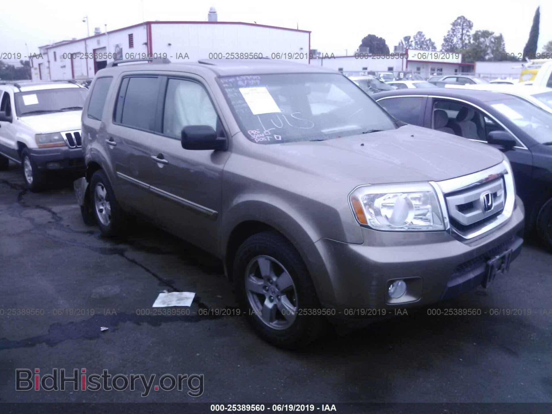 Фотография 5FNYF3H51BB005621 - HONDA PILOT 2011