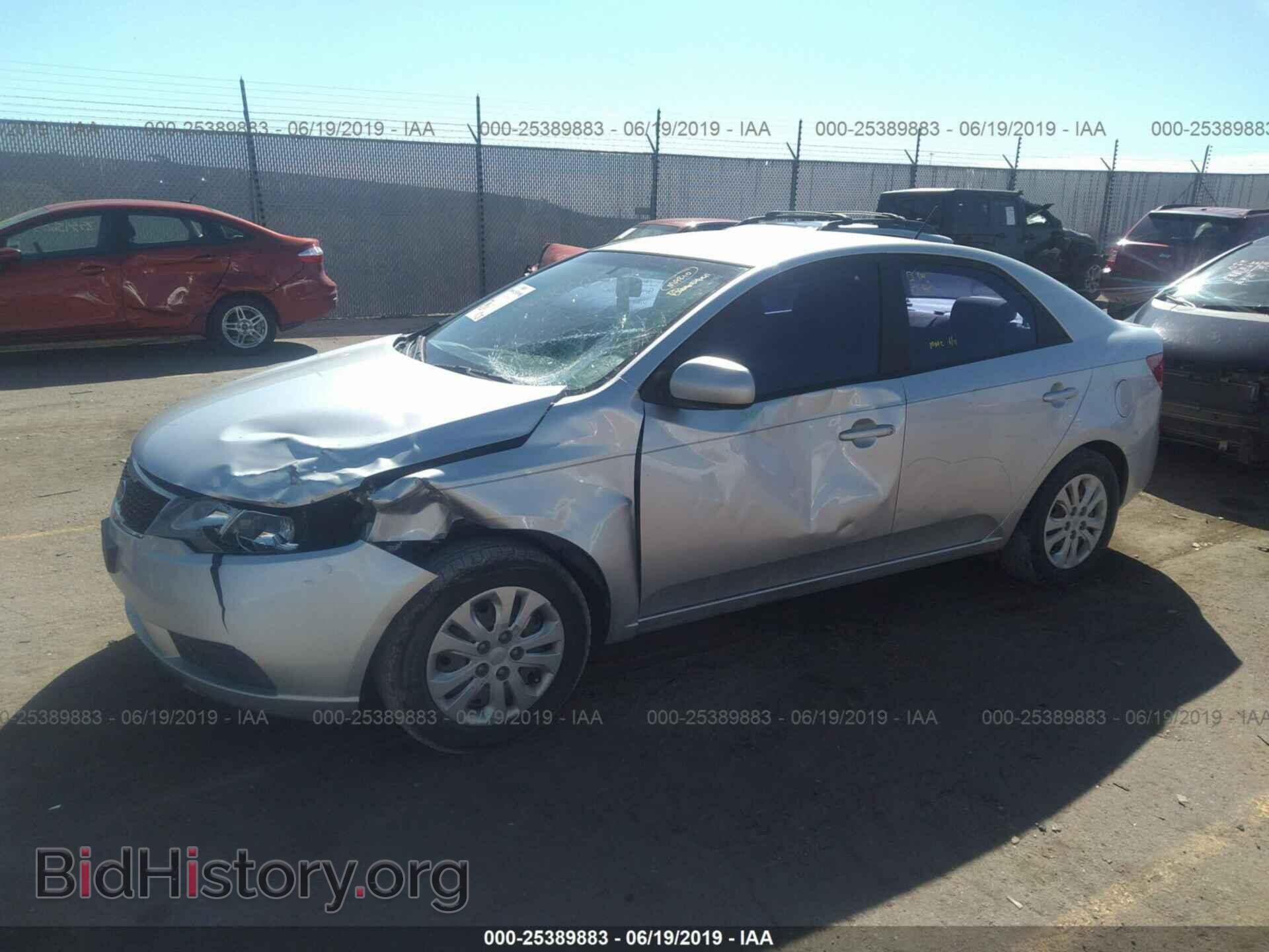2012 KIA FORTE - VIN: KNAFT4A21C5531916 - Фото 2