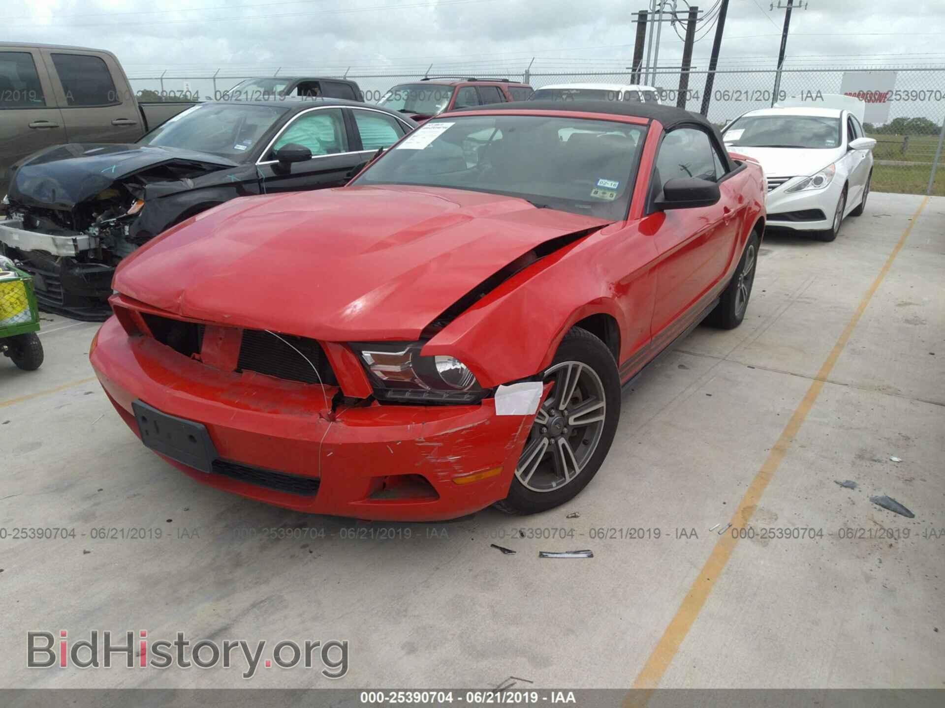 2012 FORD MUSTANG - VIN: 1ZVBP8EM2C5203880 - Фото 2