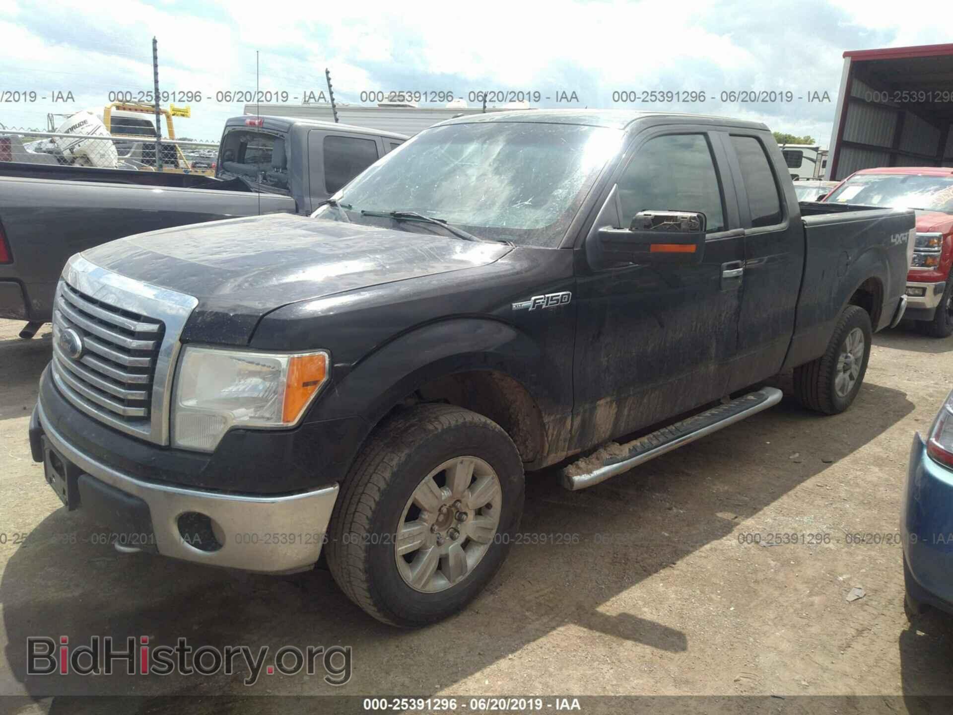 2011 FORD F150 - VIN: 1FTFX1EF1BFB43970 - Фото 2