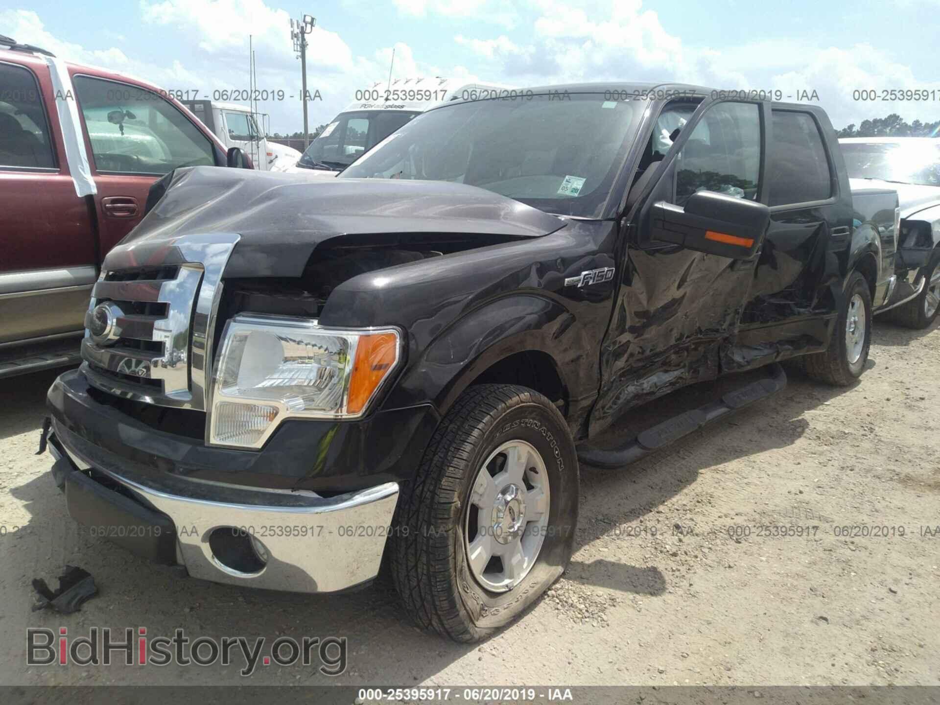 2012 FORD F150 - VIN: 1FTEW1CMXCFB51244 - Фото 2