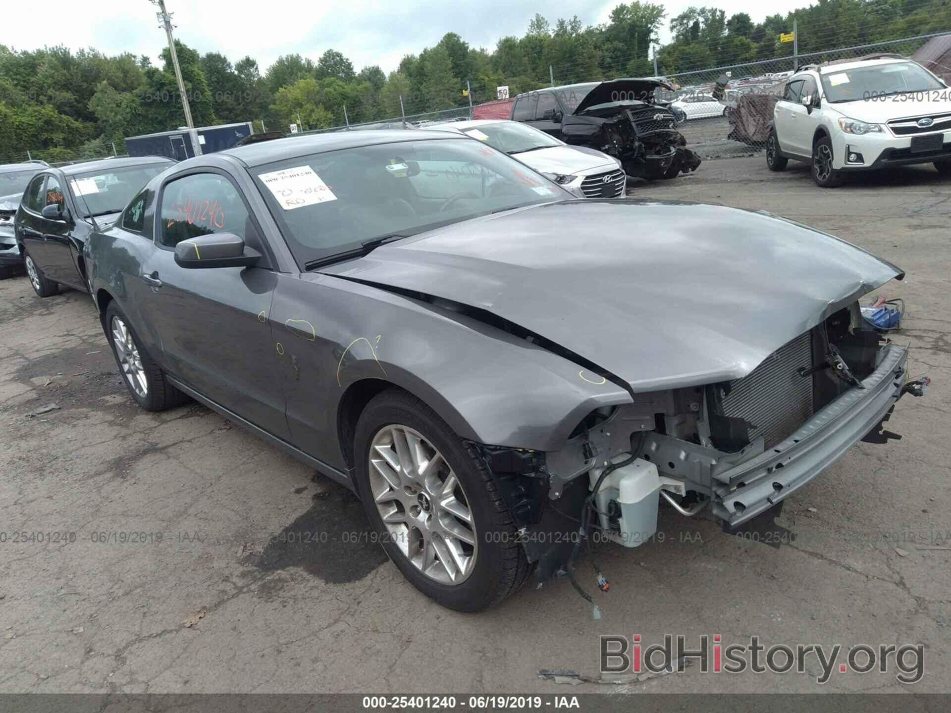 Photo 1ZVBP8AM5E5254797 - FORD MUSTANG 2014