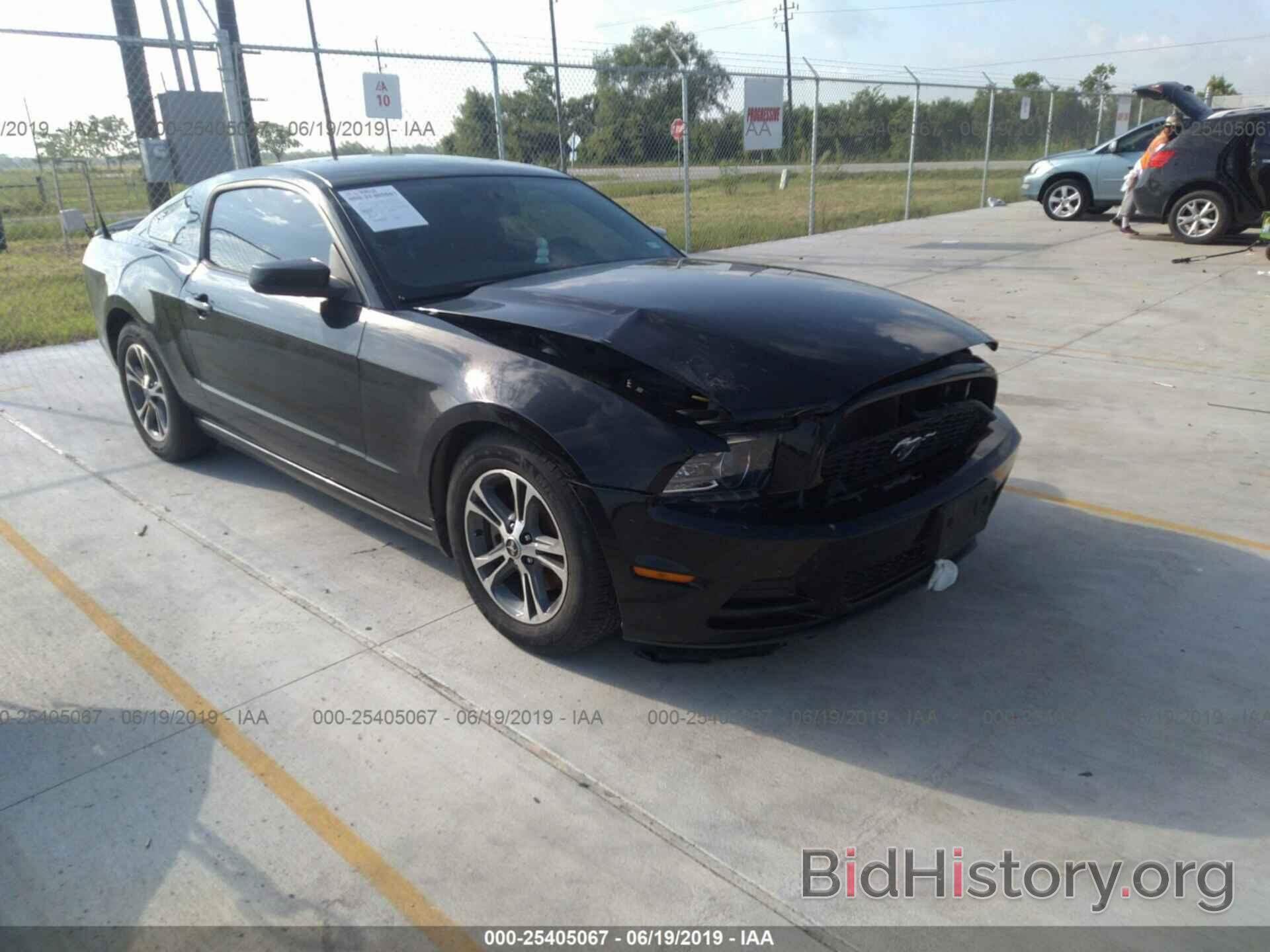 Photo 1ZVBP8AM9D5251707 - FORD MUSTANG 2013