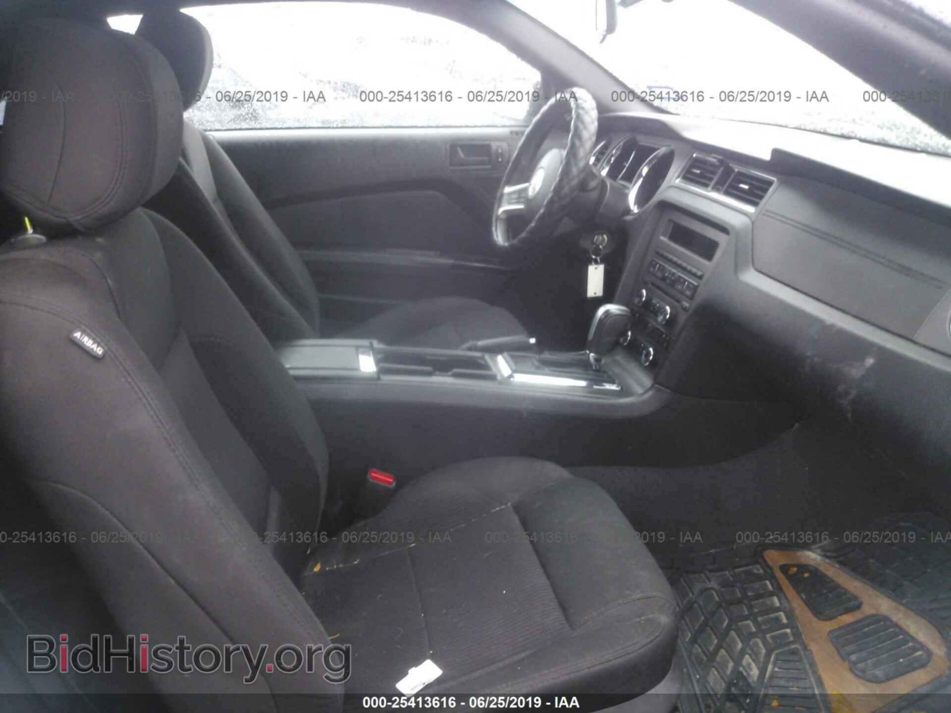 2013 FORD MUSTANG - VIN: 1ZVBP8EM7D5237167 - Фото 5