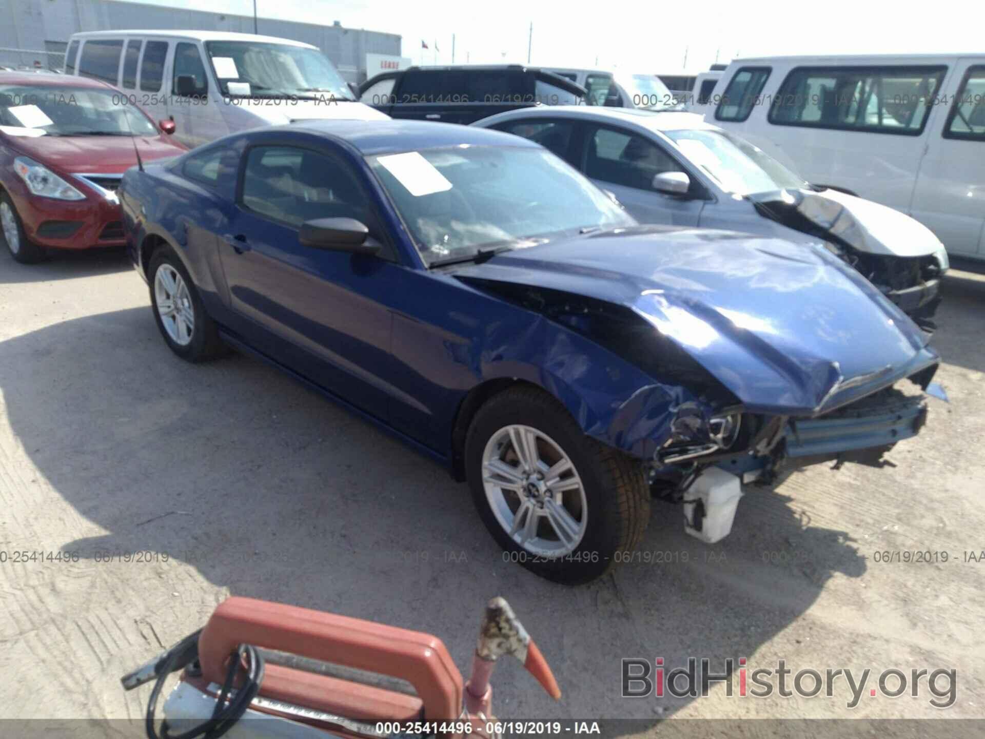 Photo 1ZVBP8AM6E5270992 - FORD MUSTANG 2014