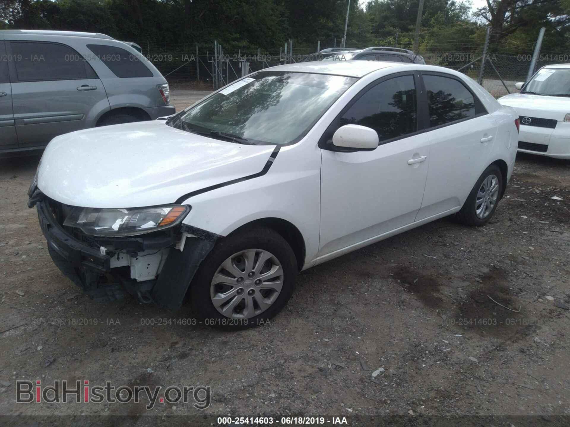 2012 KIA FORTE - VIN: KNAFT4A20C5621672 - Фото 2