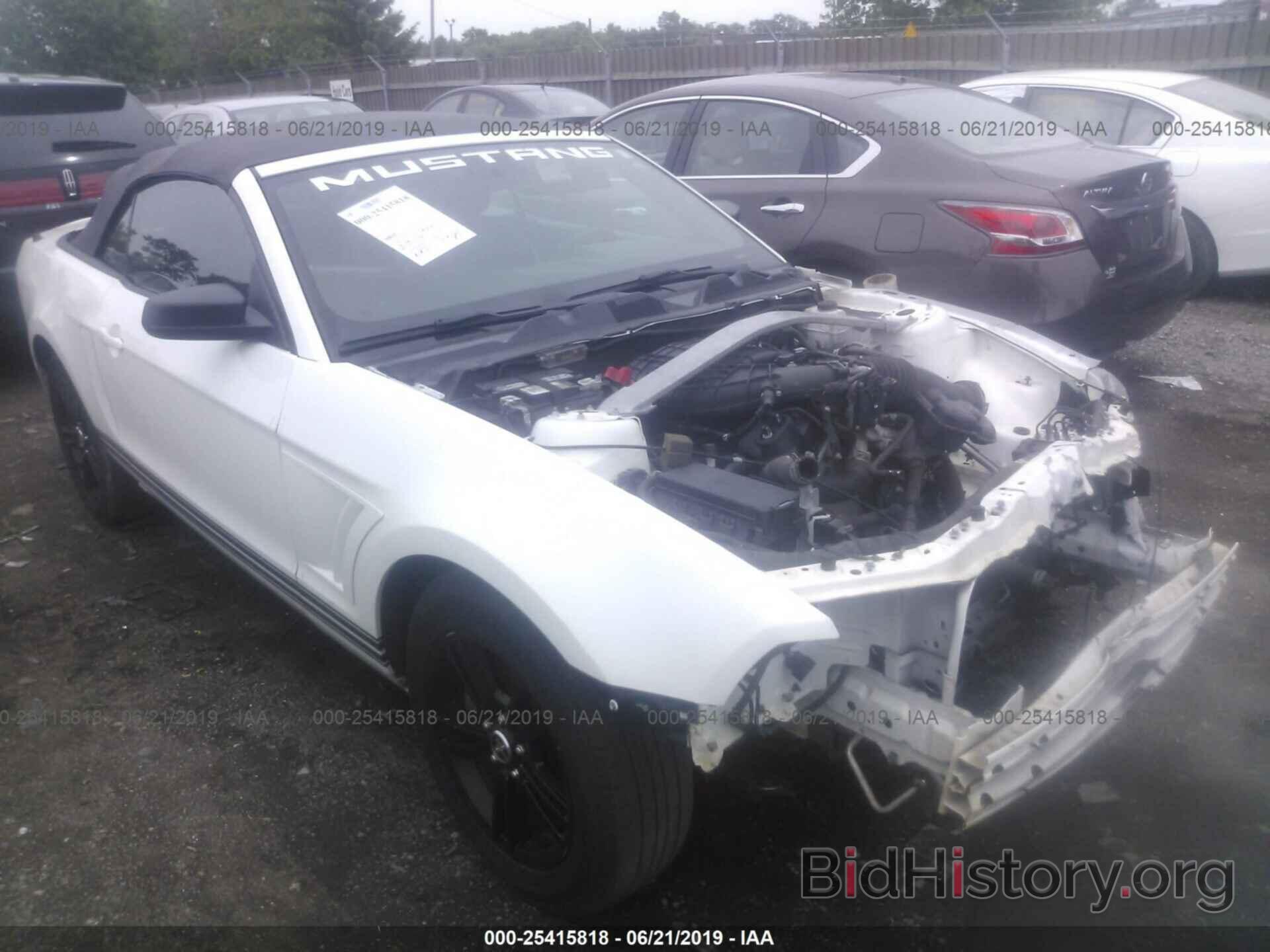 Photo 1ZVBP8EM6D5219758 - FORD MUSTANG 2013