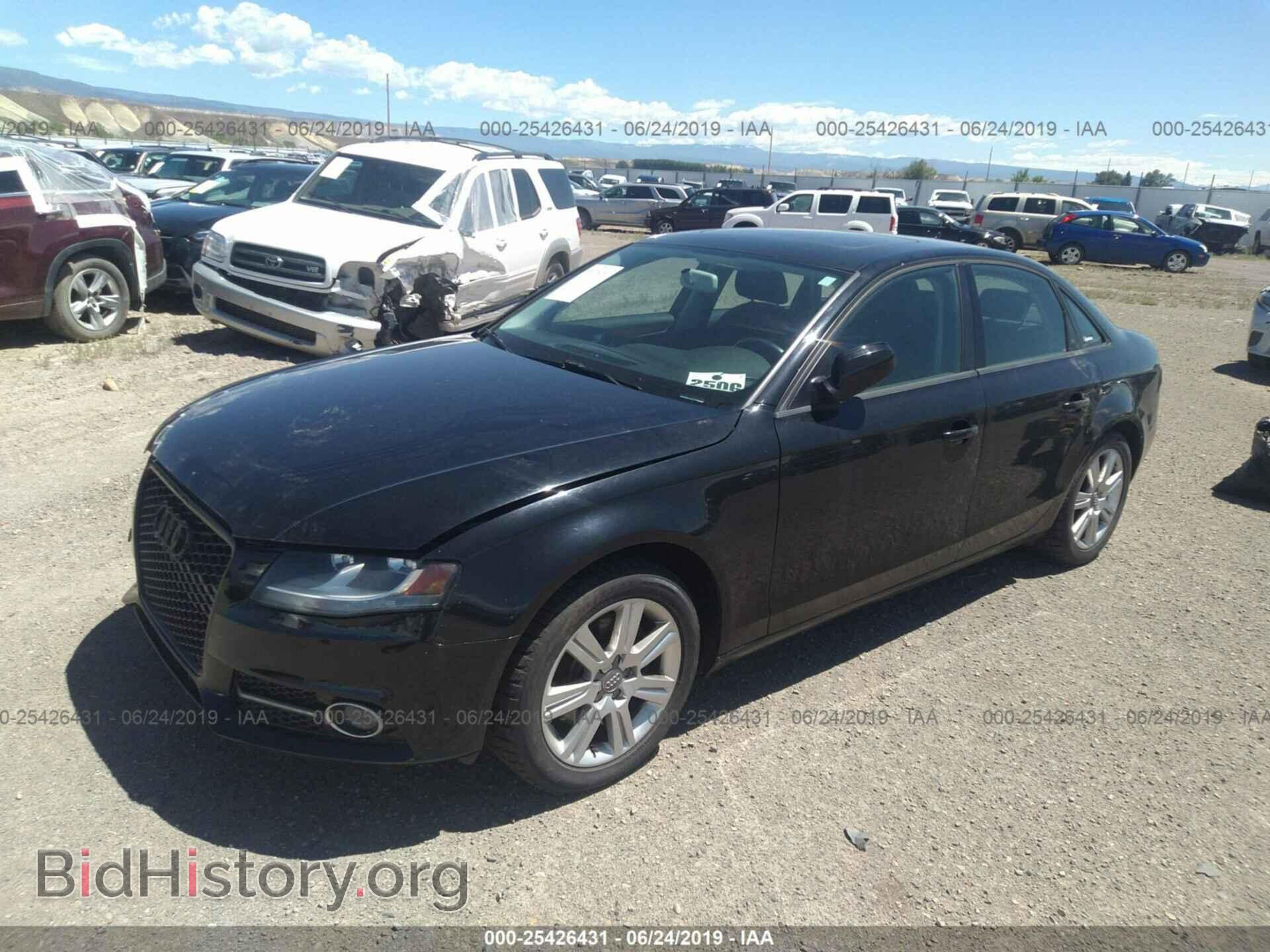 2010 AUDI A4 - VIN: WAUBFAFL6AN002593 - Фото 2