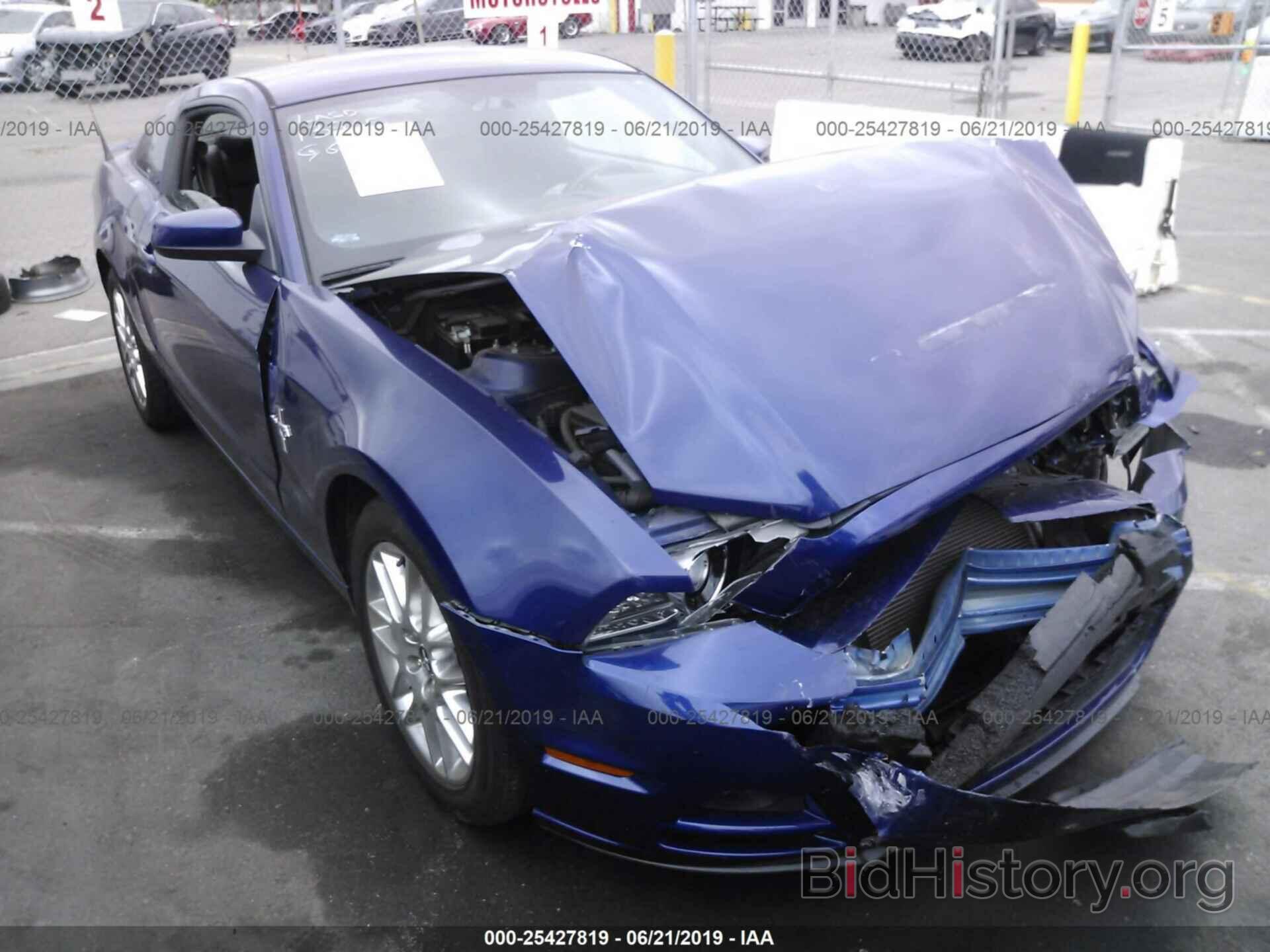 Photo 1ZVBP8AM8E5275191 - FORD MUSTANG 2014