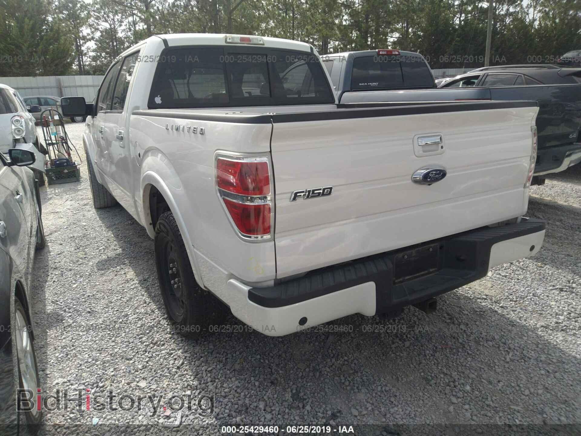 2013 FORD F150 - VIN: 1FTFW1CT8DFC77325 - Фото 3