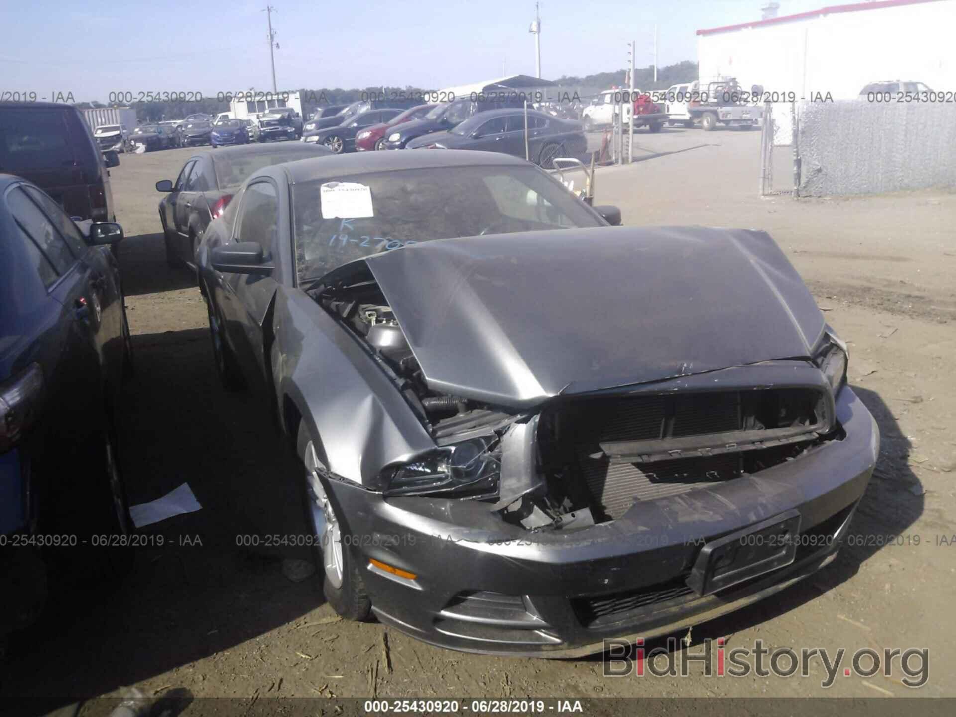 Photo 1ZVBP8AM3E5246889 - FORD MUSTANG 2014