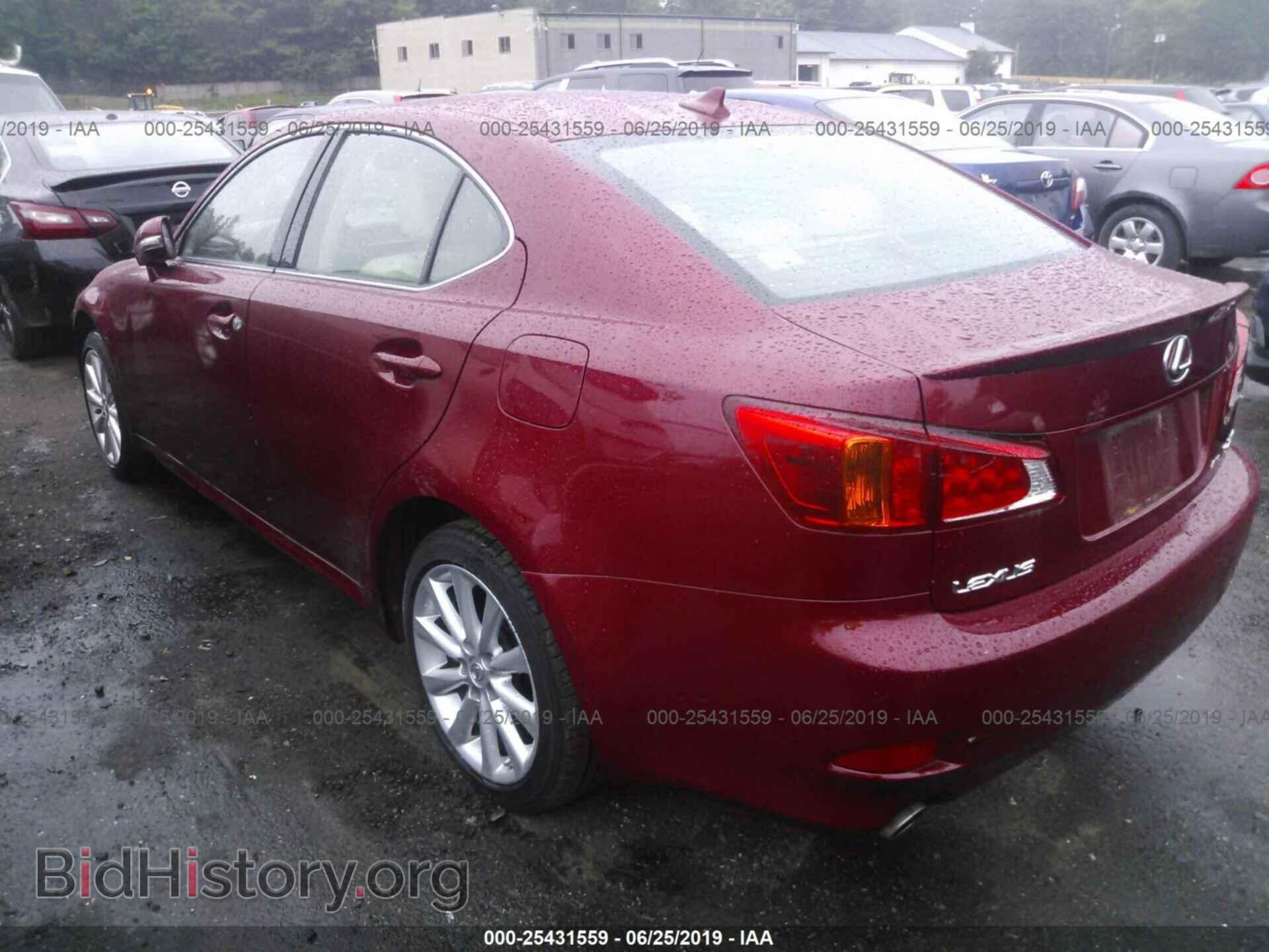 2009 LEXUS IS - VIN: JTHCK262392031710 - Фото 3