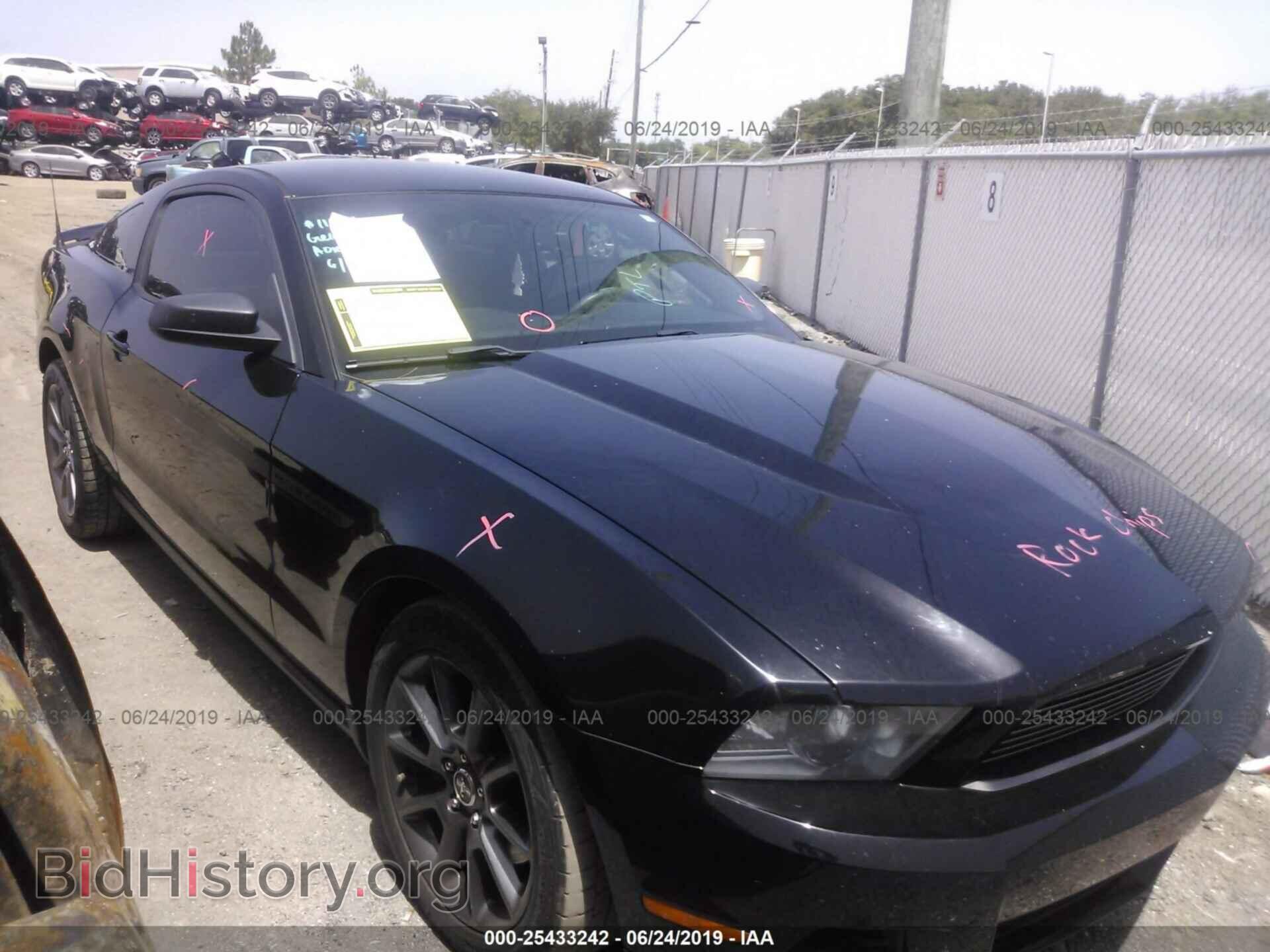 Фотография 1ZVBP8AM0C5265977 - FORD MUSTANG 2012