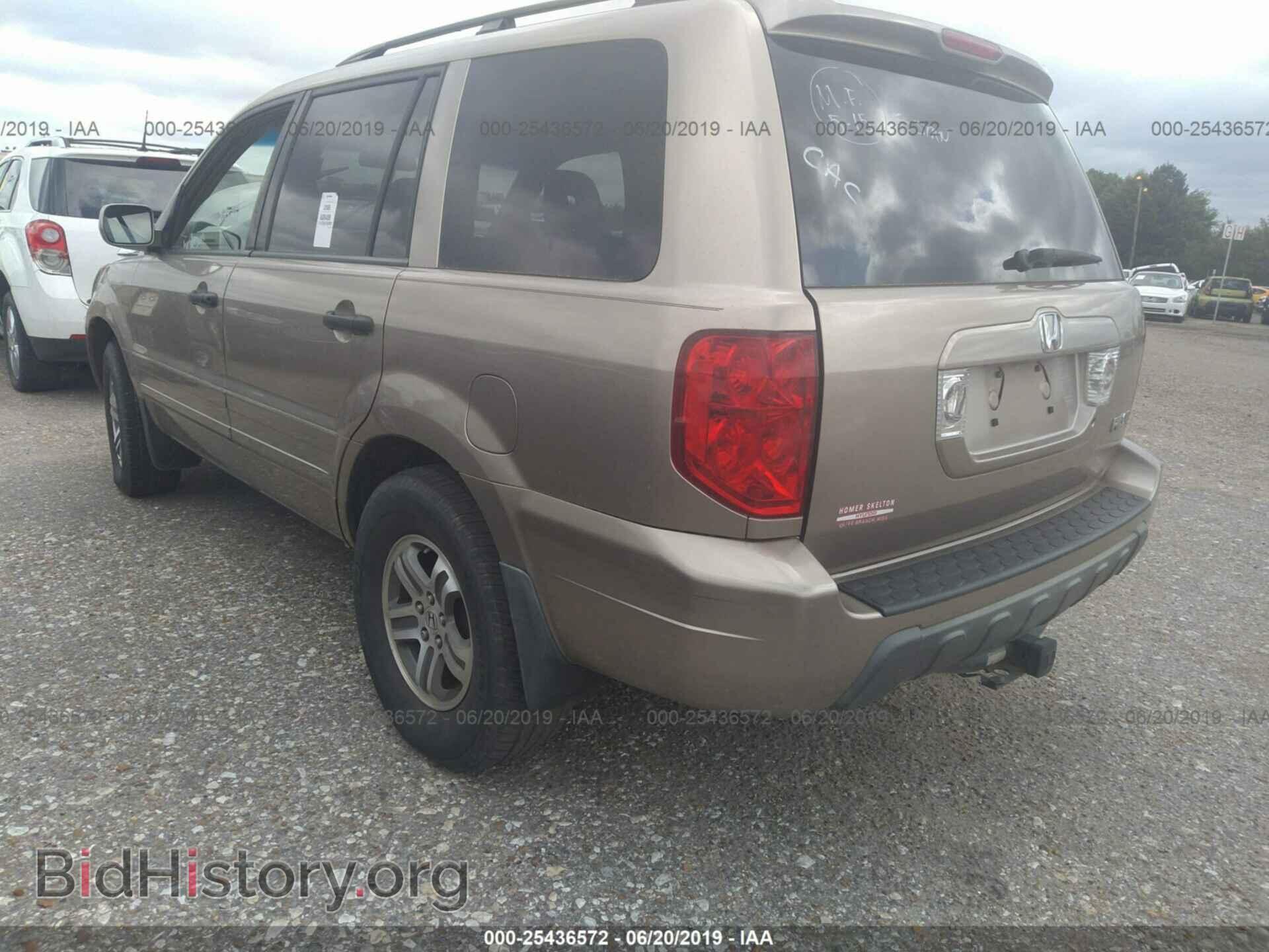 2005 HONDA PILOT - VIN: 5FNYF18495B062312 - Фото 3