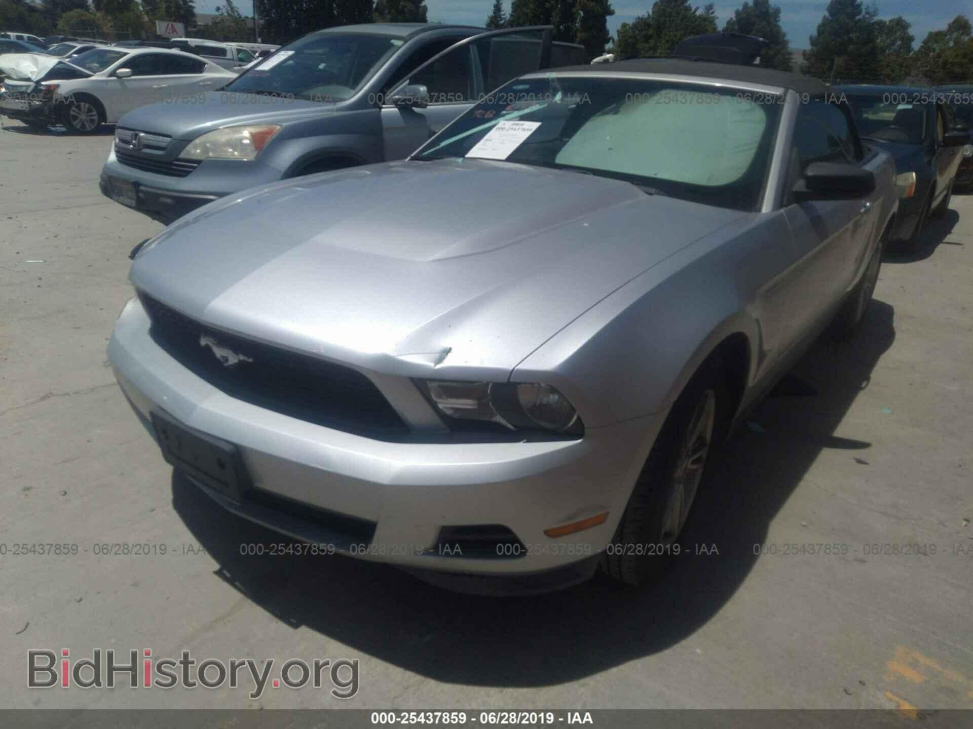 2012 FORD MUSTANG - VIN: 1ZVBP8EM7C5225034 - Фото 2