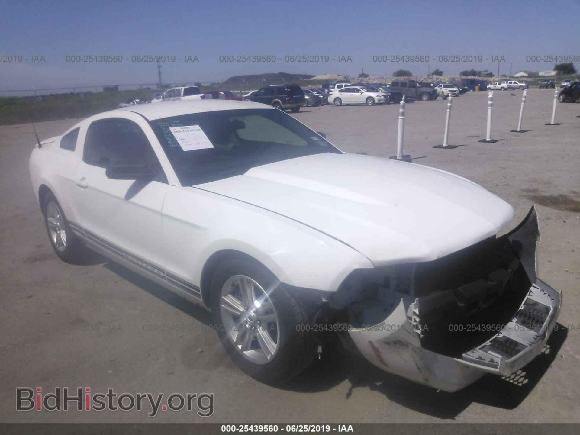 Фотография 1ZVBP8AM9B5158845 - FORD MUSTANG 2011
