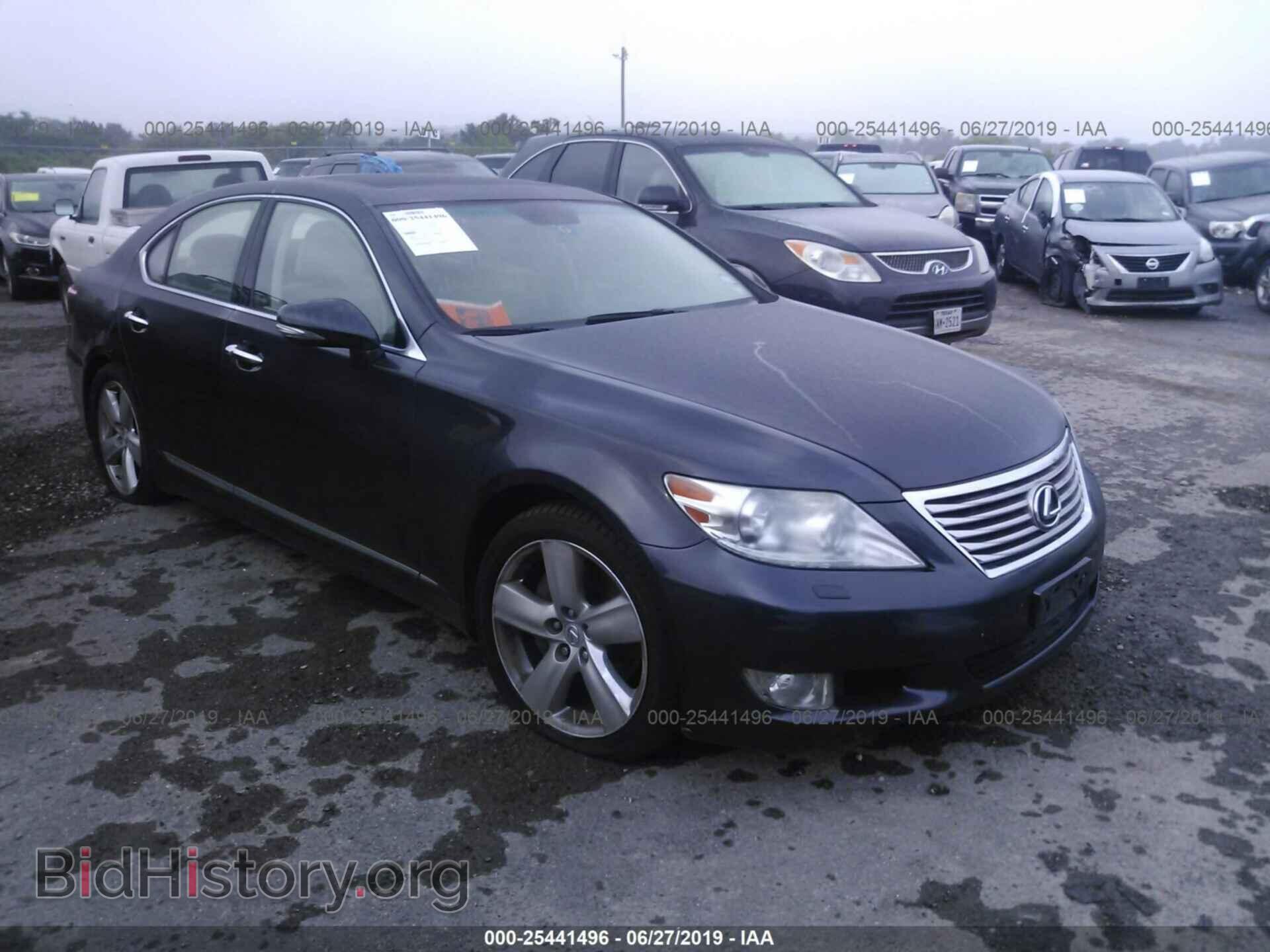 Фотография JTHBL5EF8A5093184 - LEXUS LS 2010